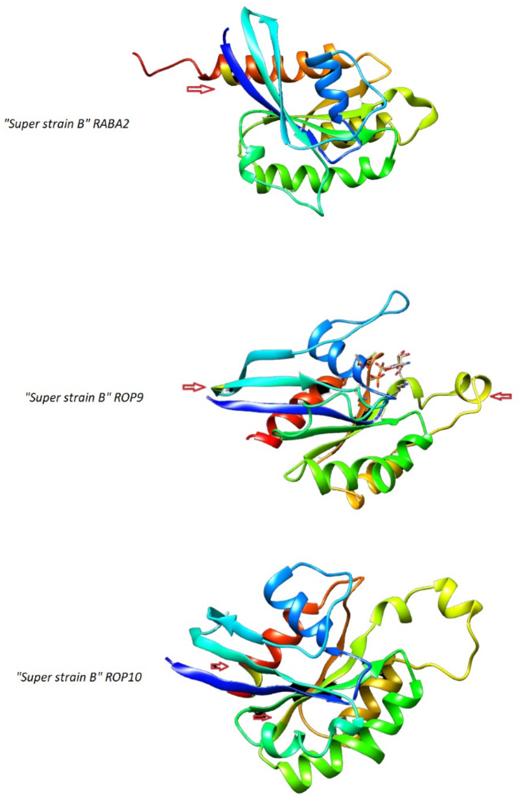 Plants 11 00641 g005