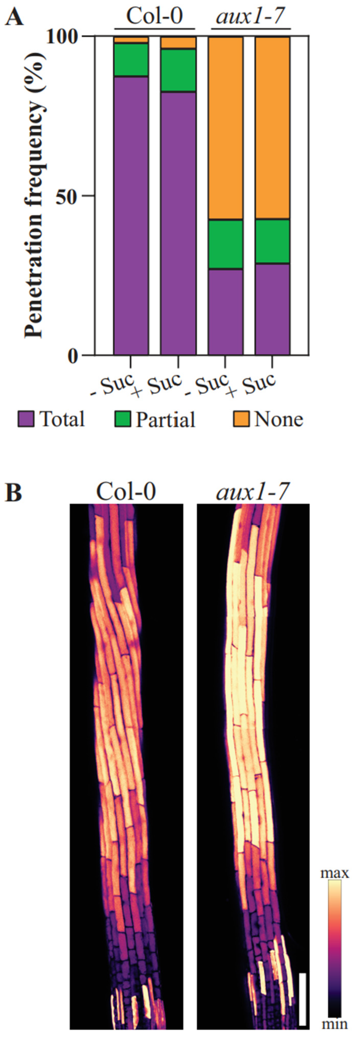 Plants 11 00650 g003