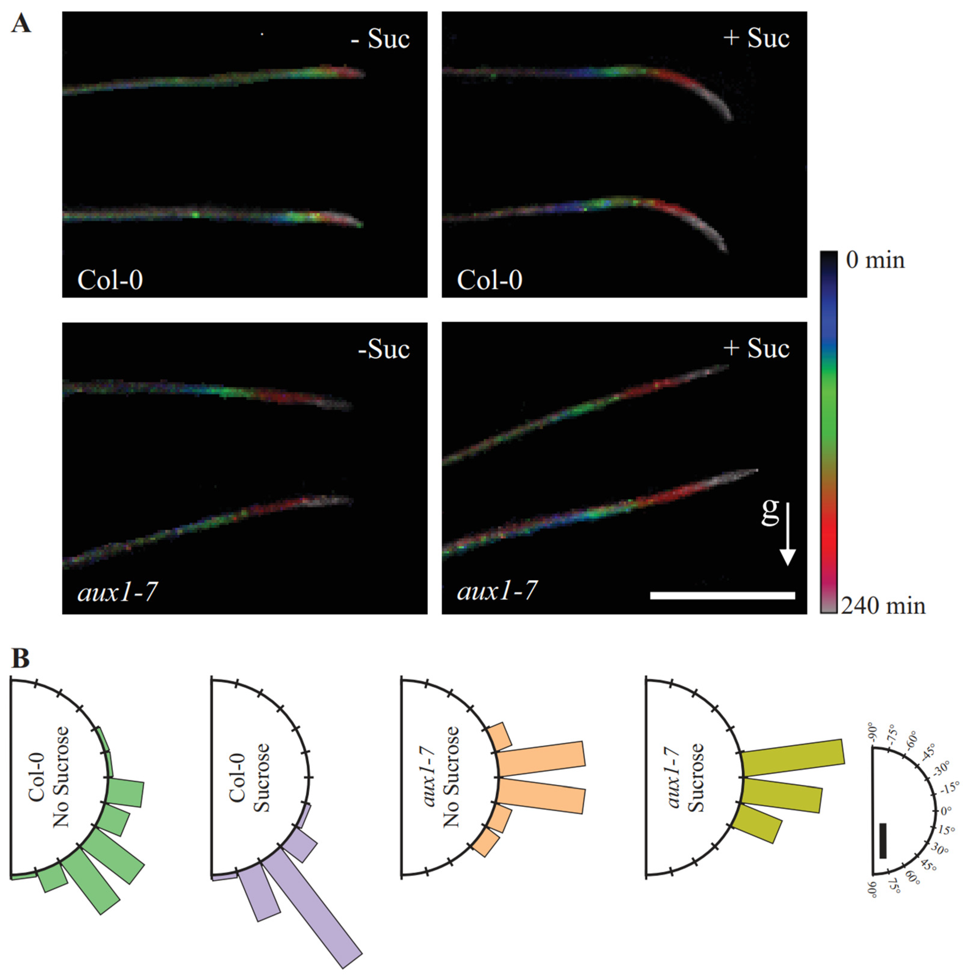 Plants 11 00650 g005