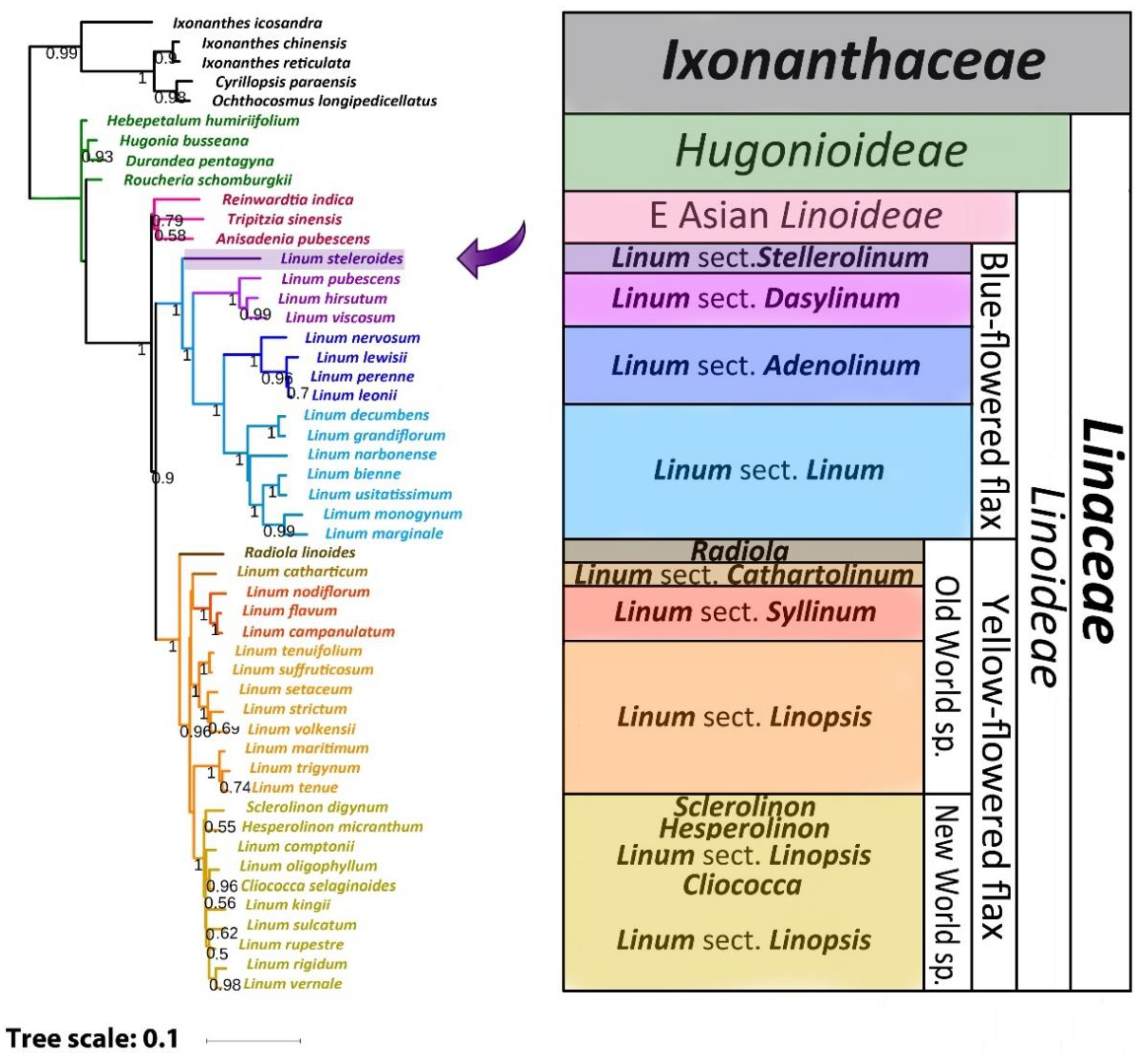 Plants 11 00652 g003