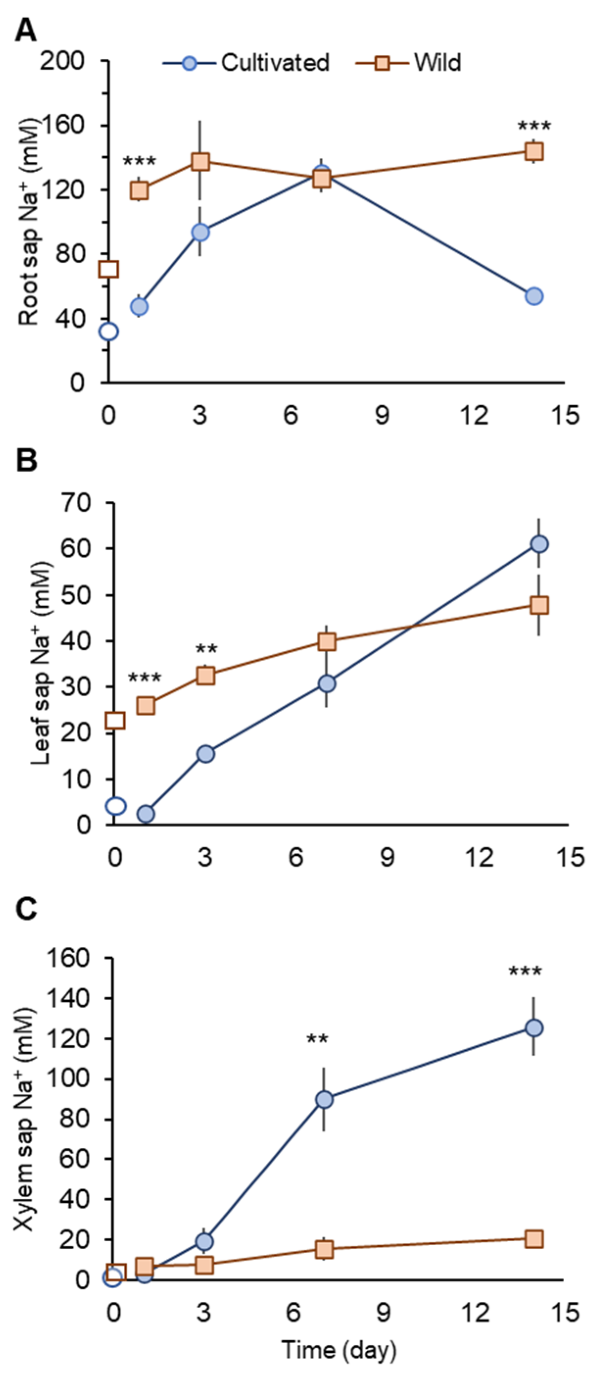 Plants 11 00656 g003