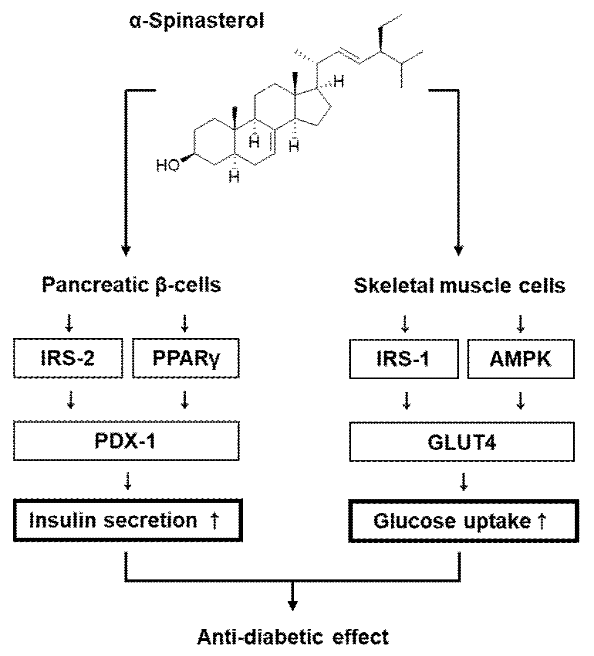 Plants 11 00658 g006