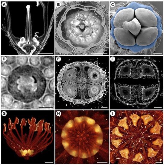 Plants 11 00661 g012
