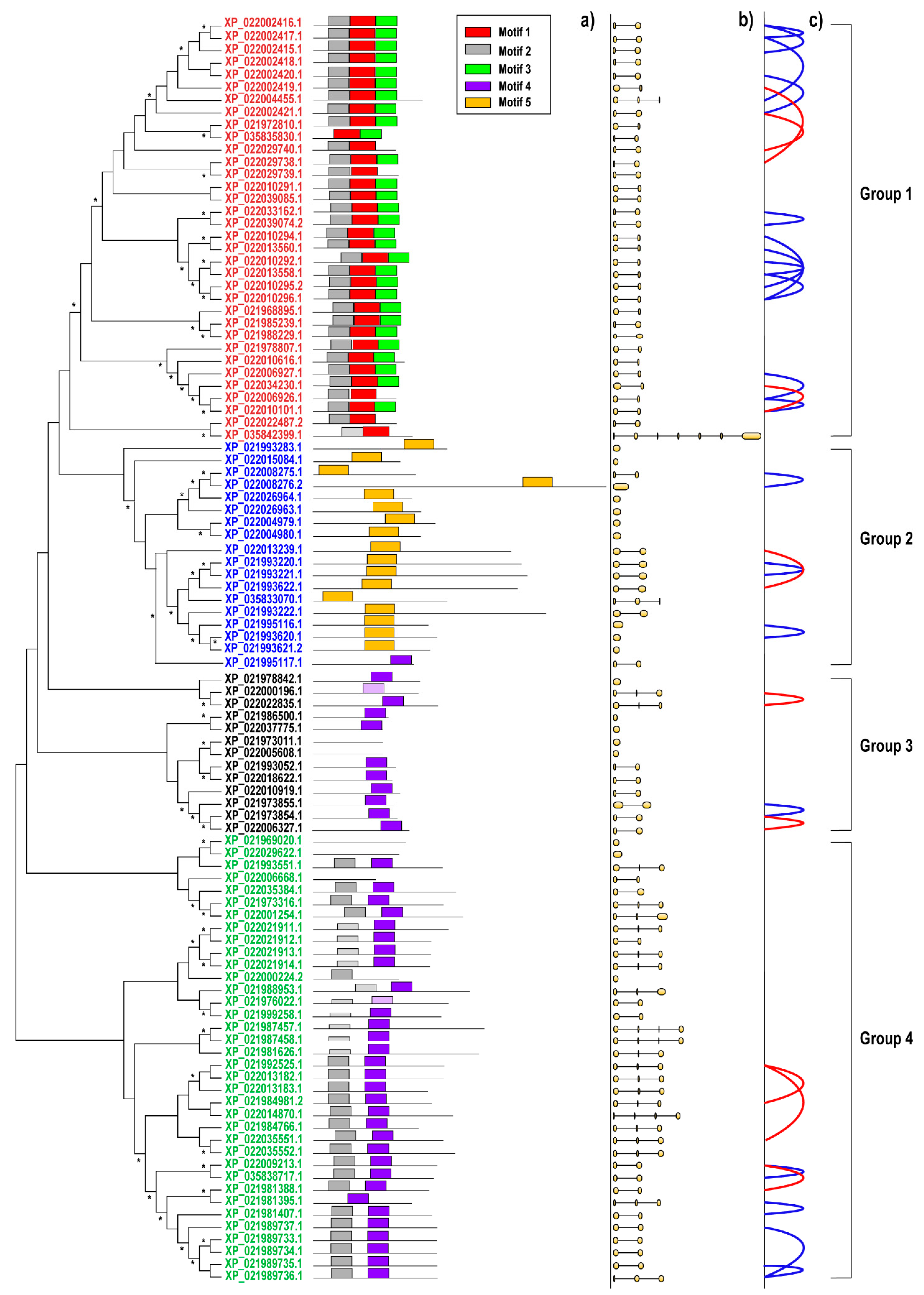 Plants 11 00664 g001