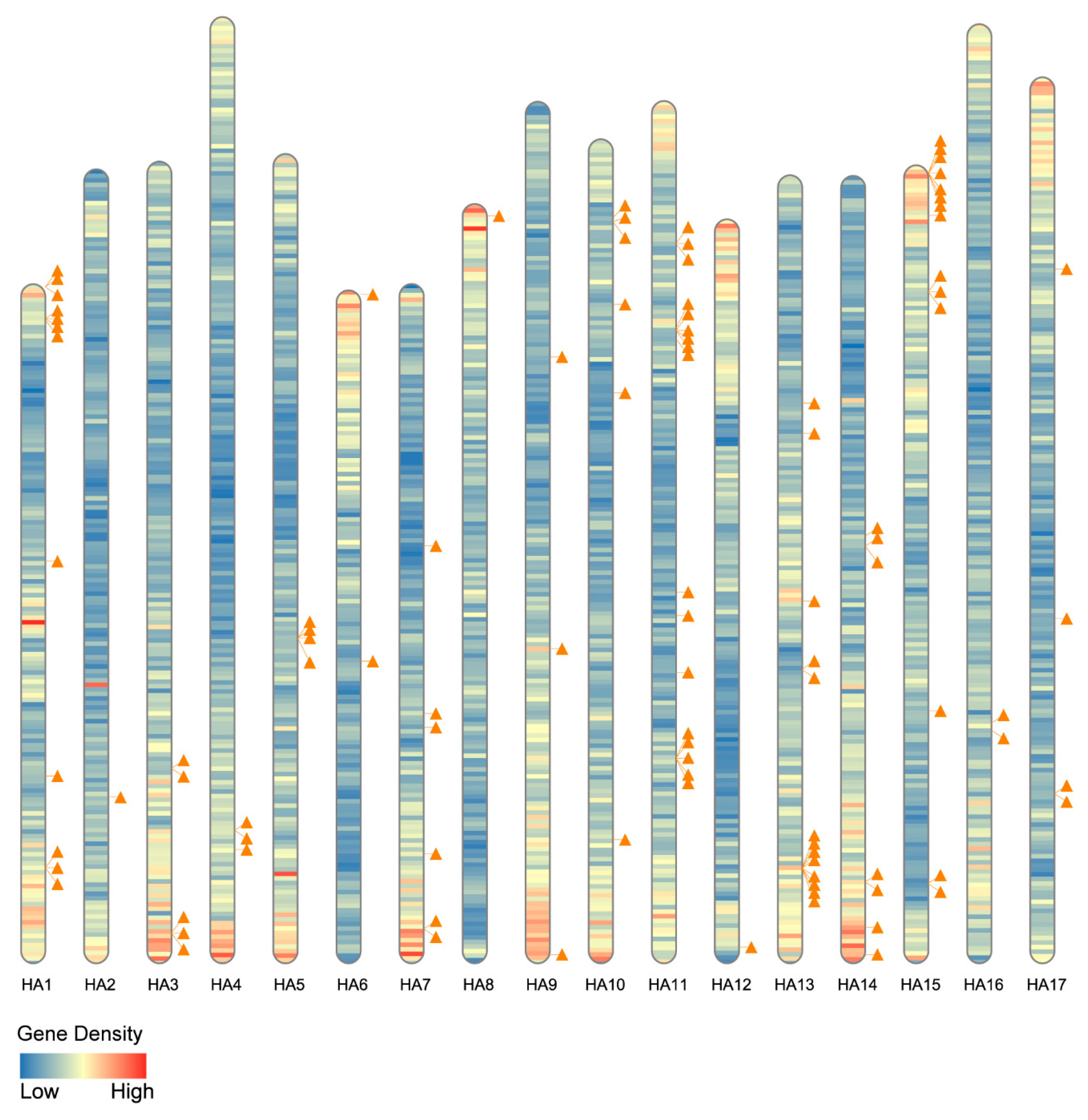 Plants 11 00664 g003