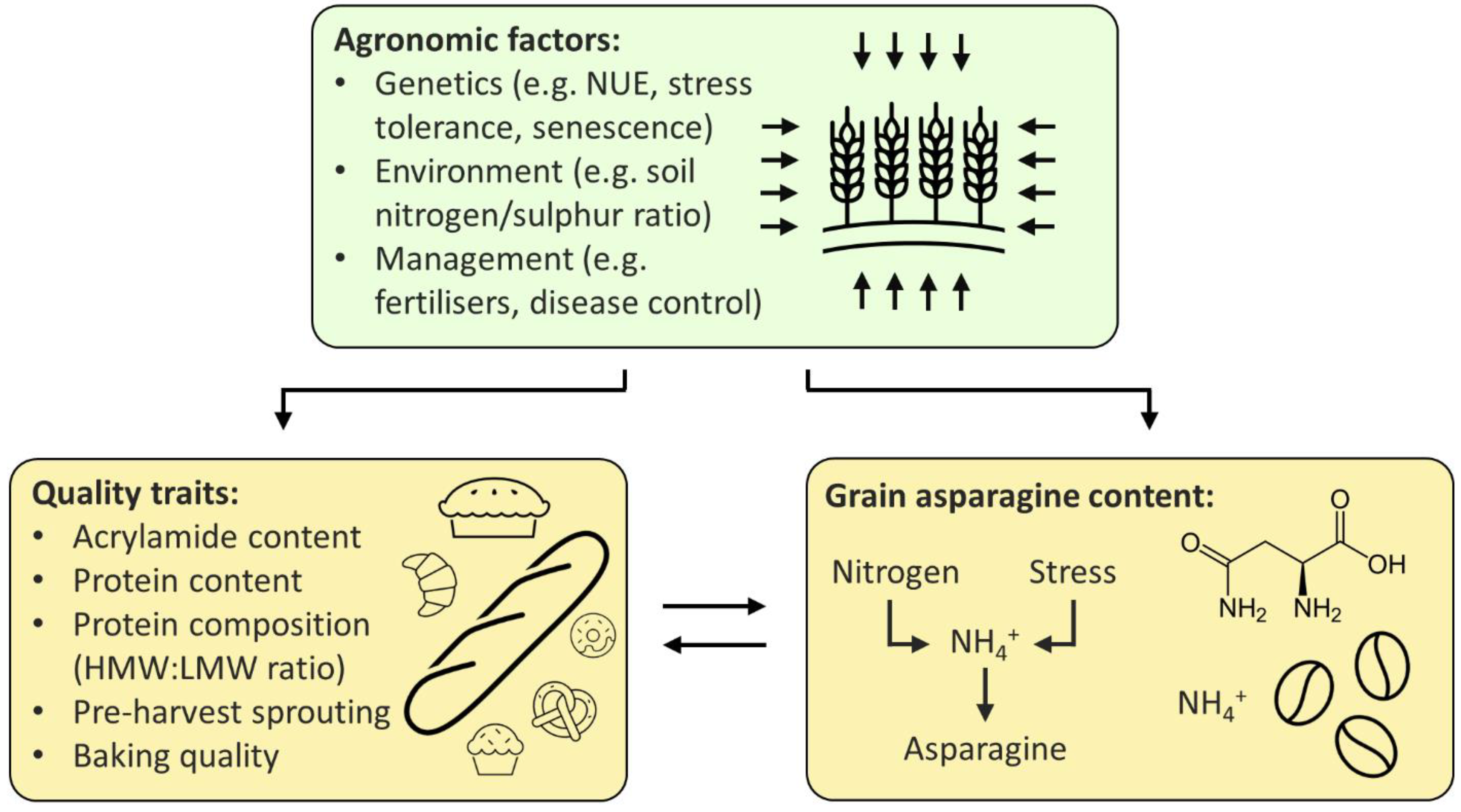 Plants 11 00669 g002