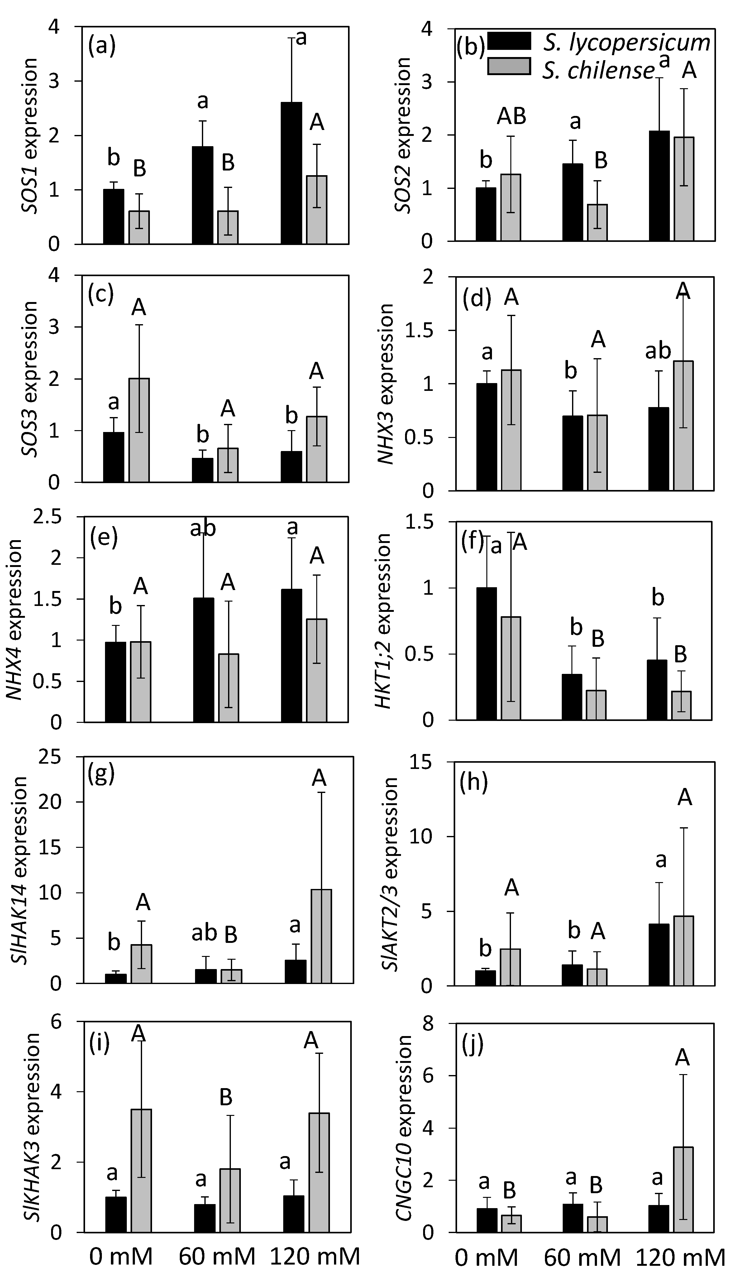 Plants 11 00672 g005 Plants 11 00672 g005