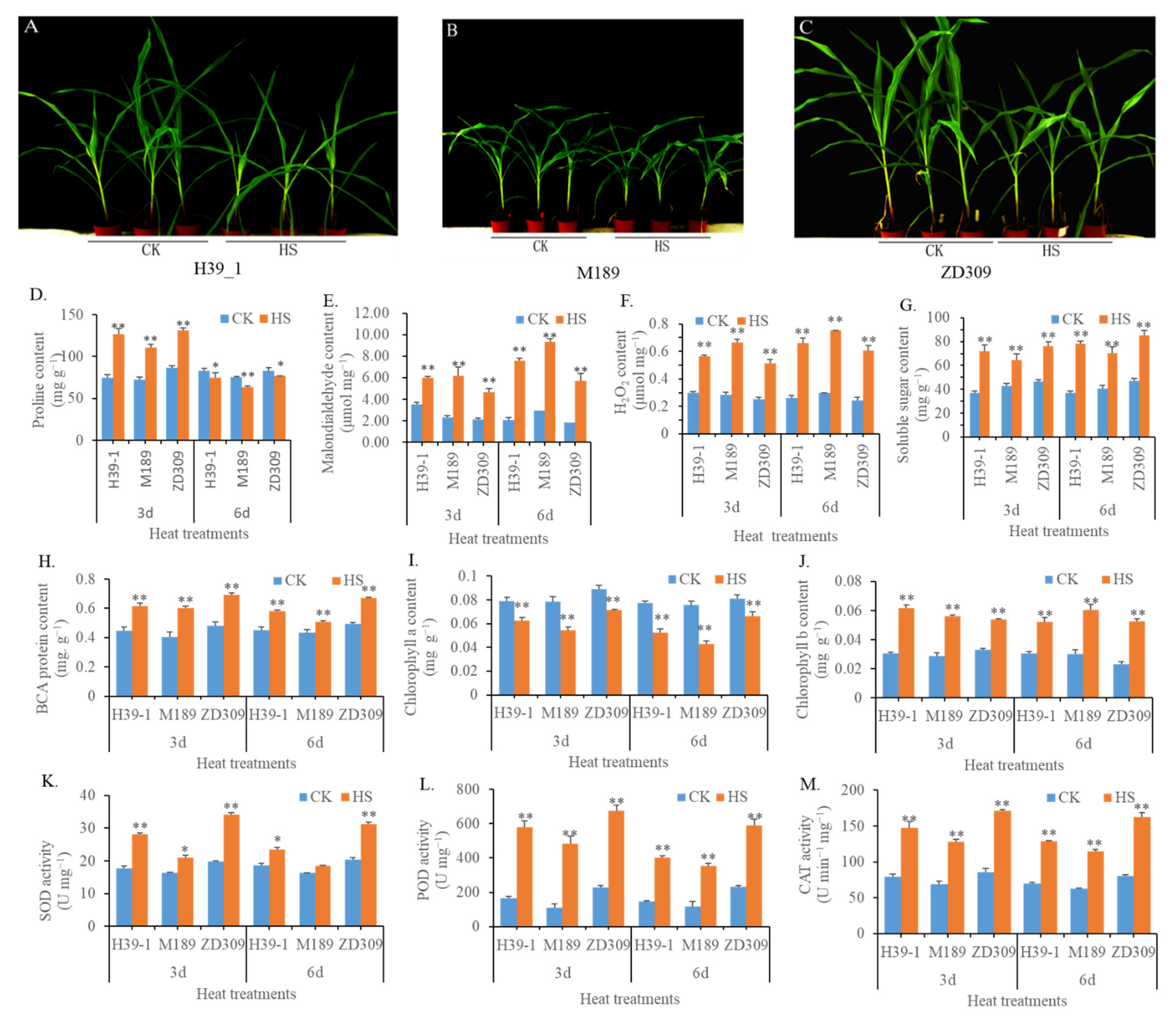 Plants 11 00677 g001