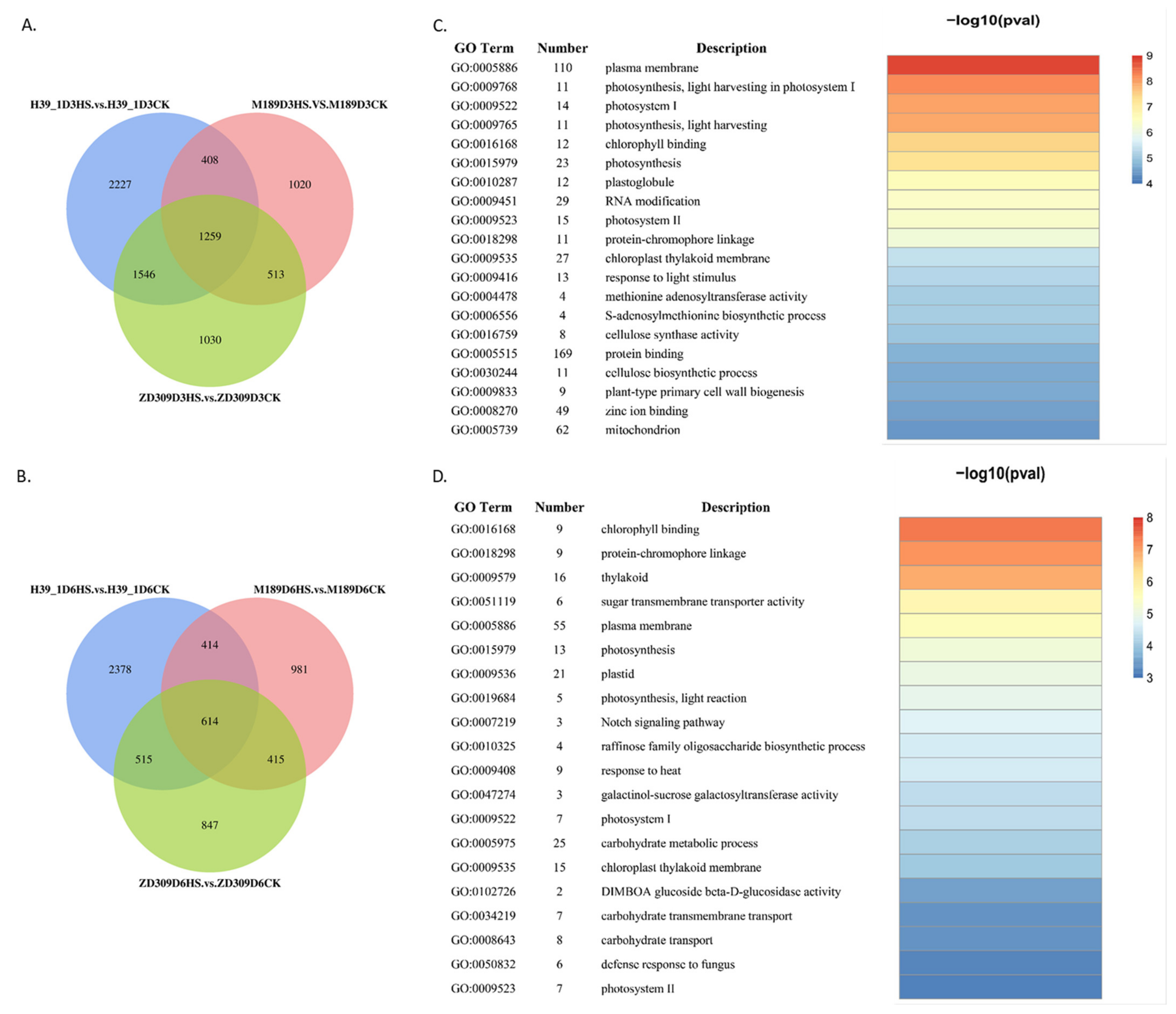 Plants 11 00677 g002