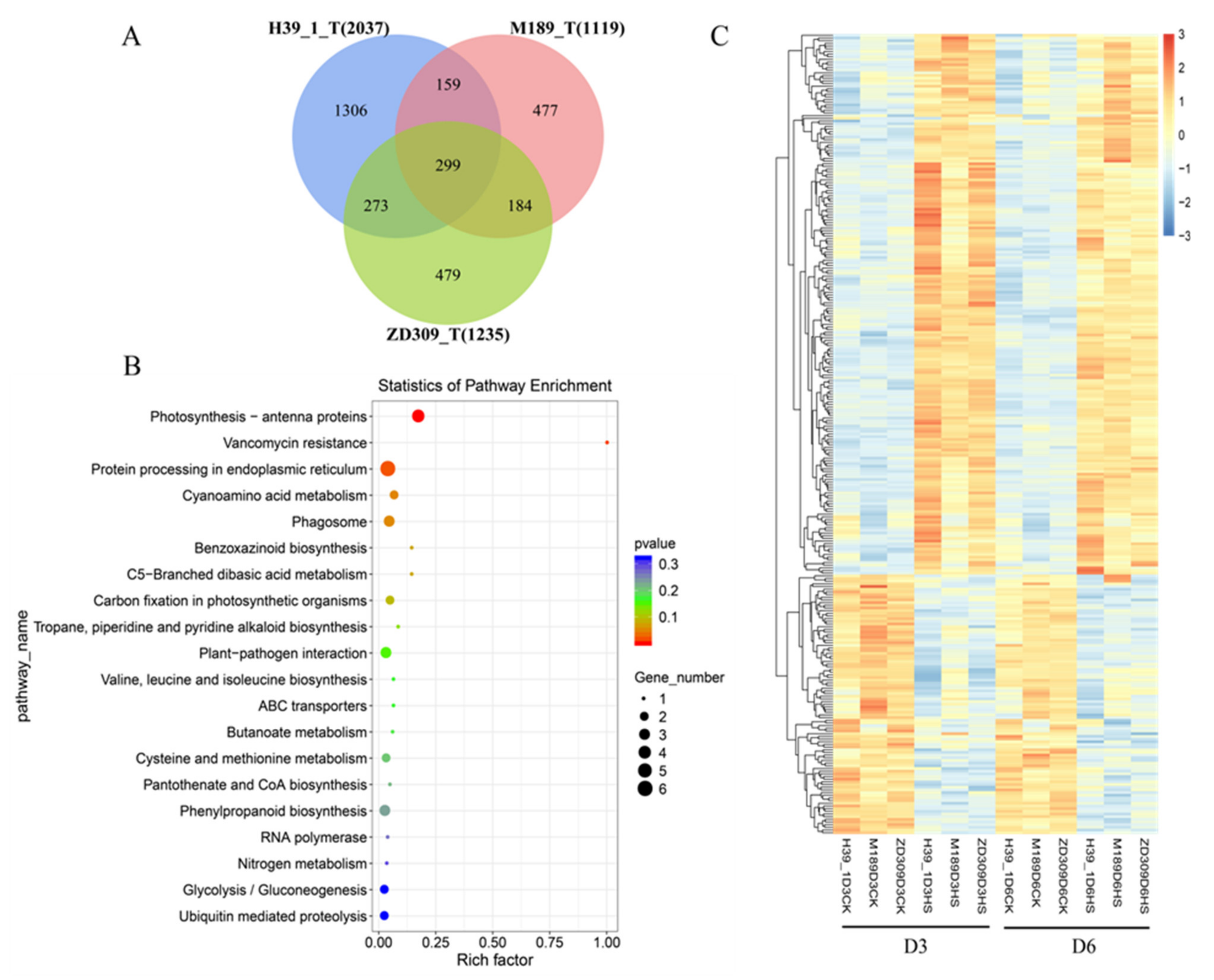 Plants 11 00677 g004