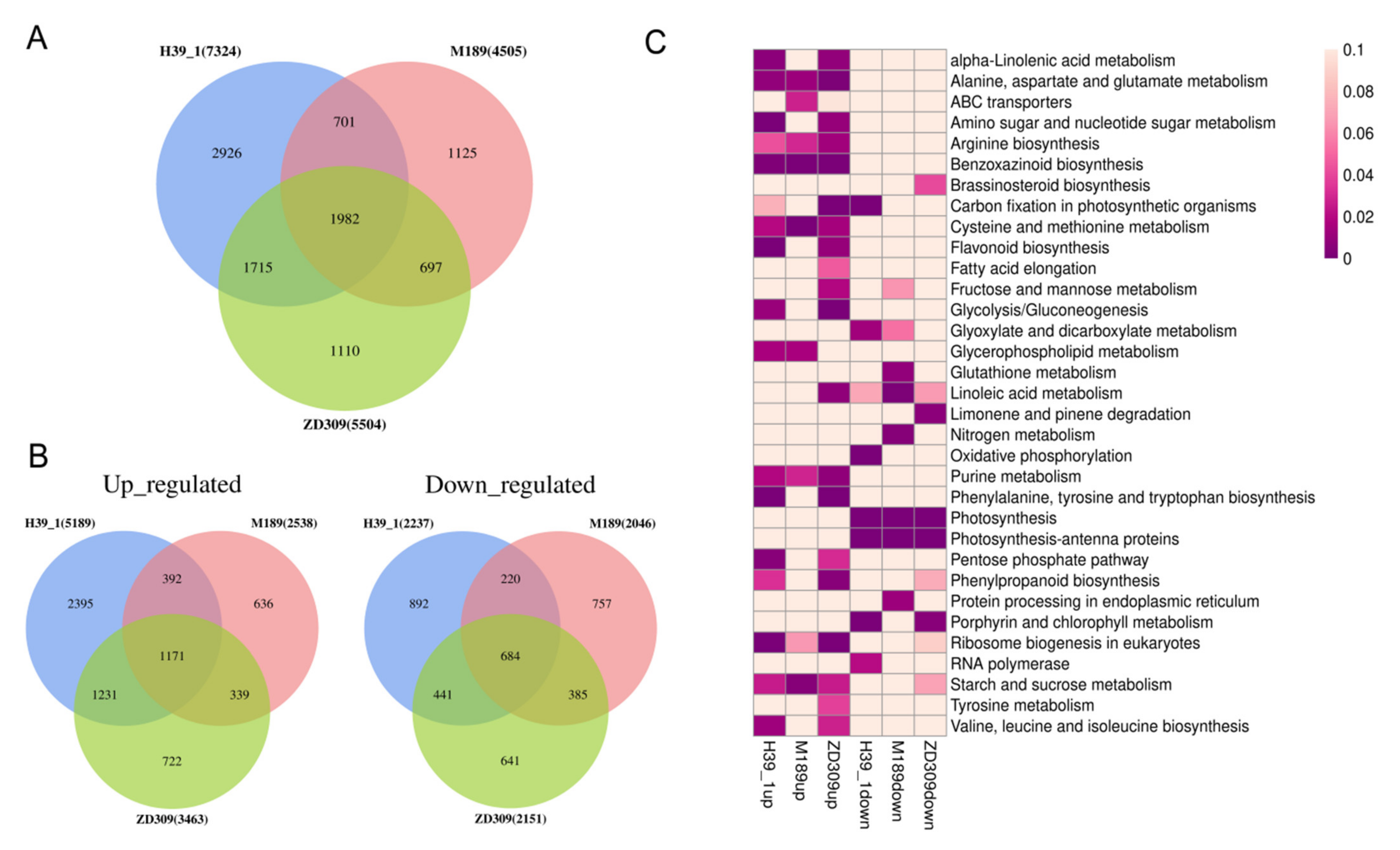 Plants 11 00677 g006