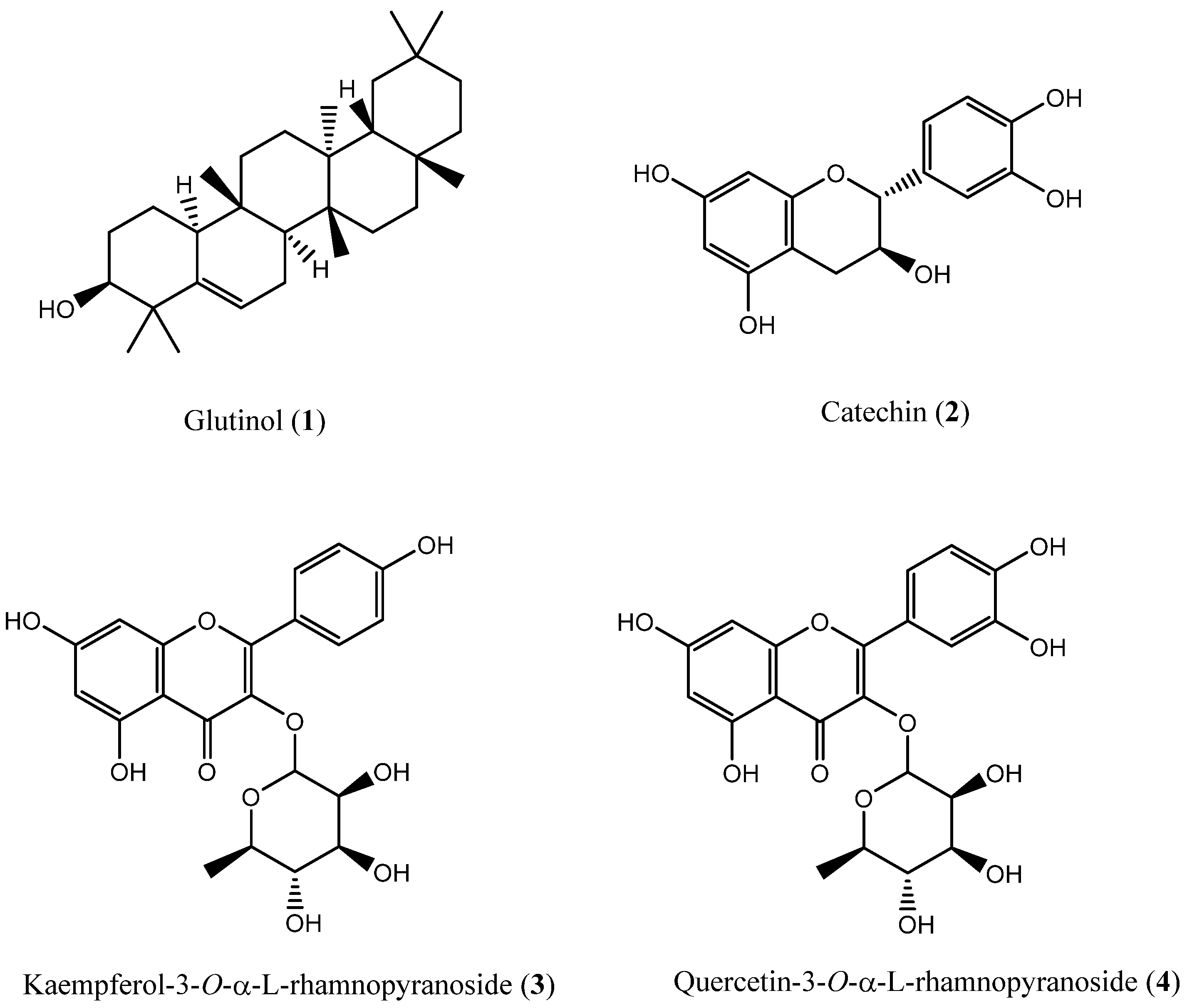Plants 11 00681 g001