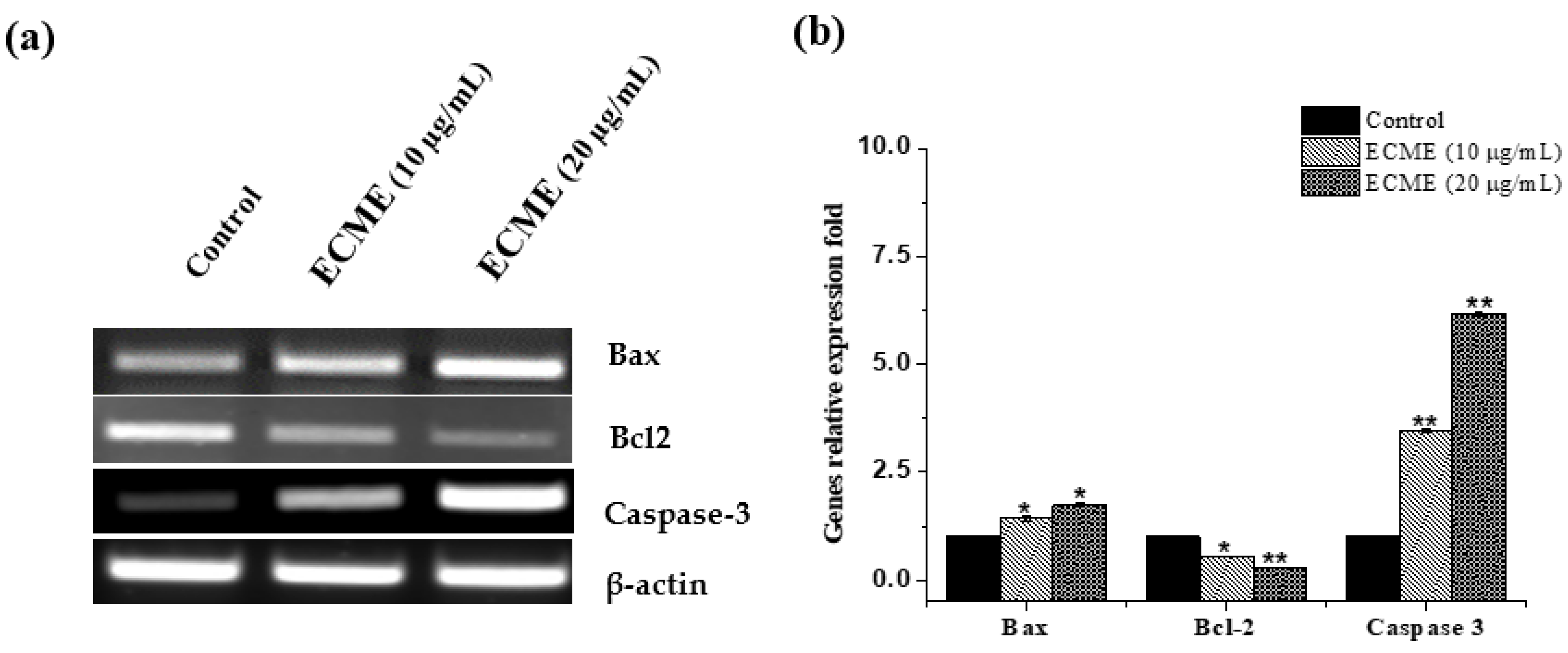 Plants 11 00681 g005