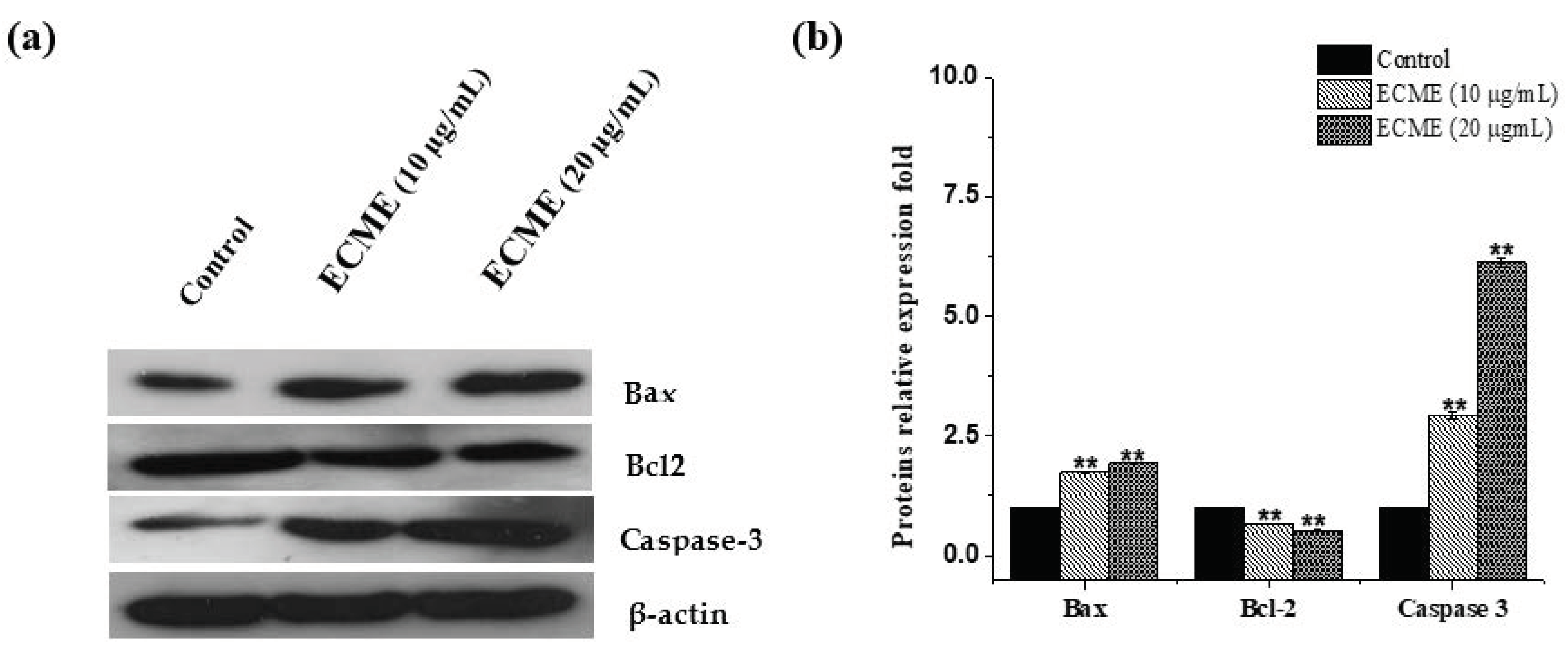 Plants 11 00681 g006