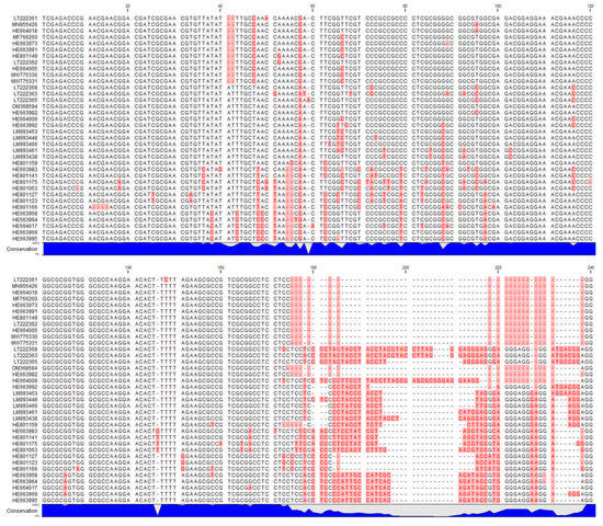 Plants 11 00686 g0a1a 550