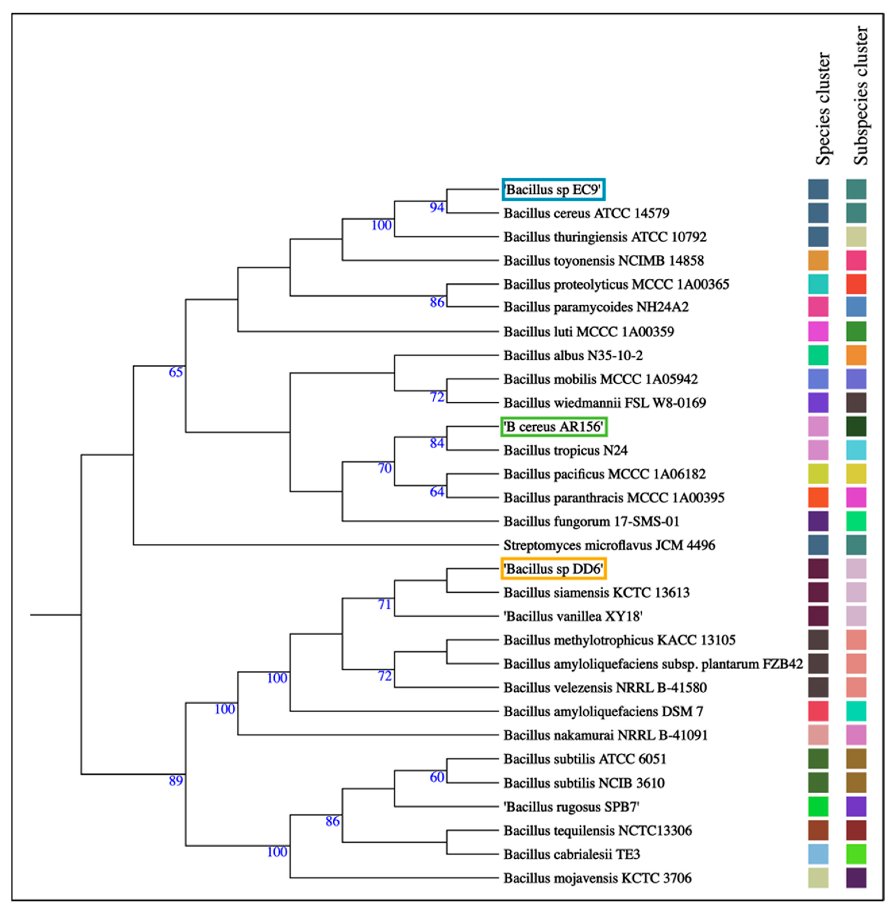 Plants 11 00687 g004