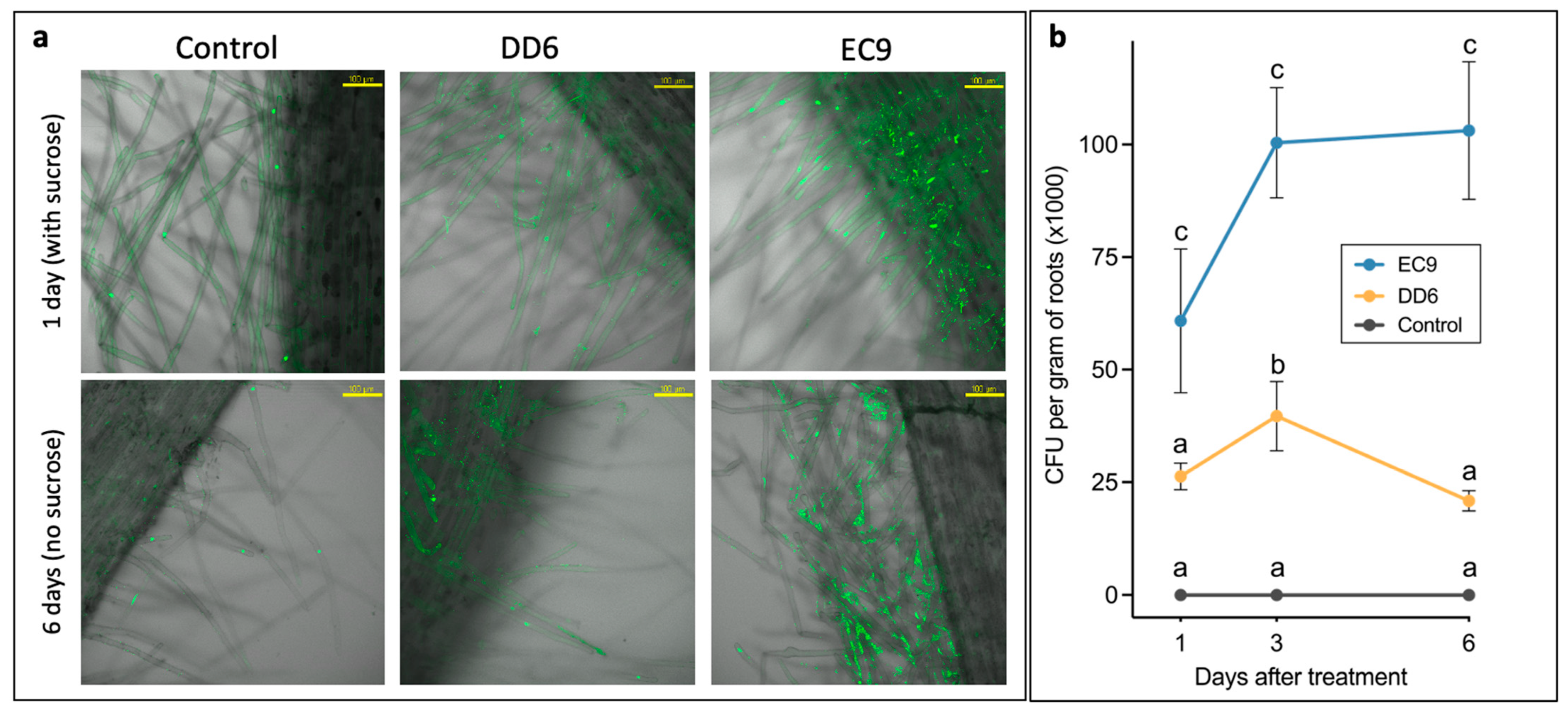 Plants 11 00687 g007