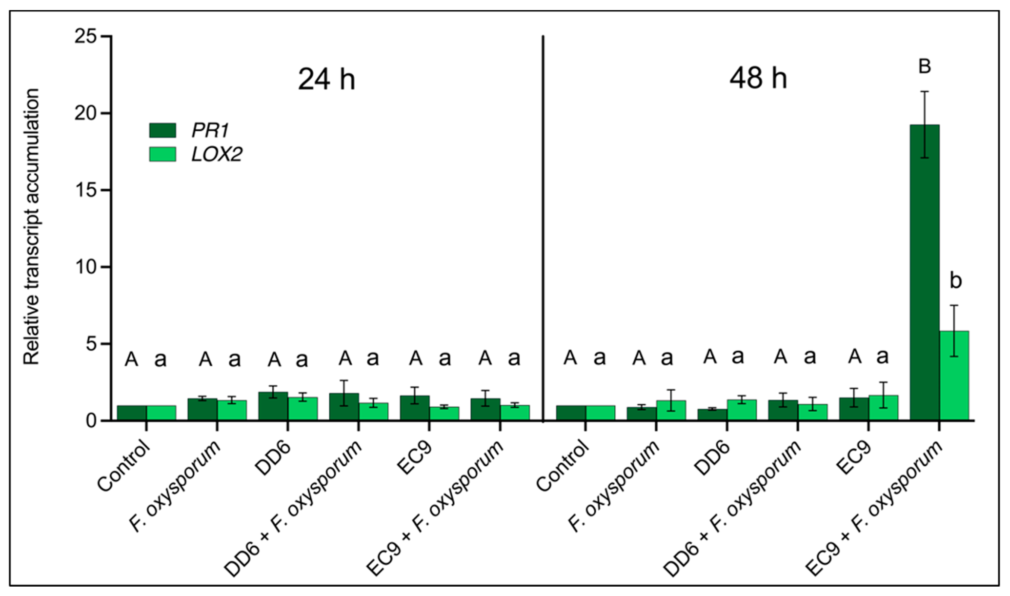 Plants 11 00687 g008