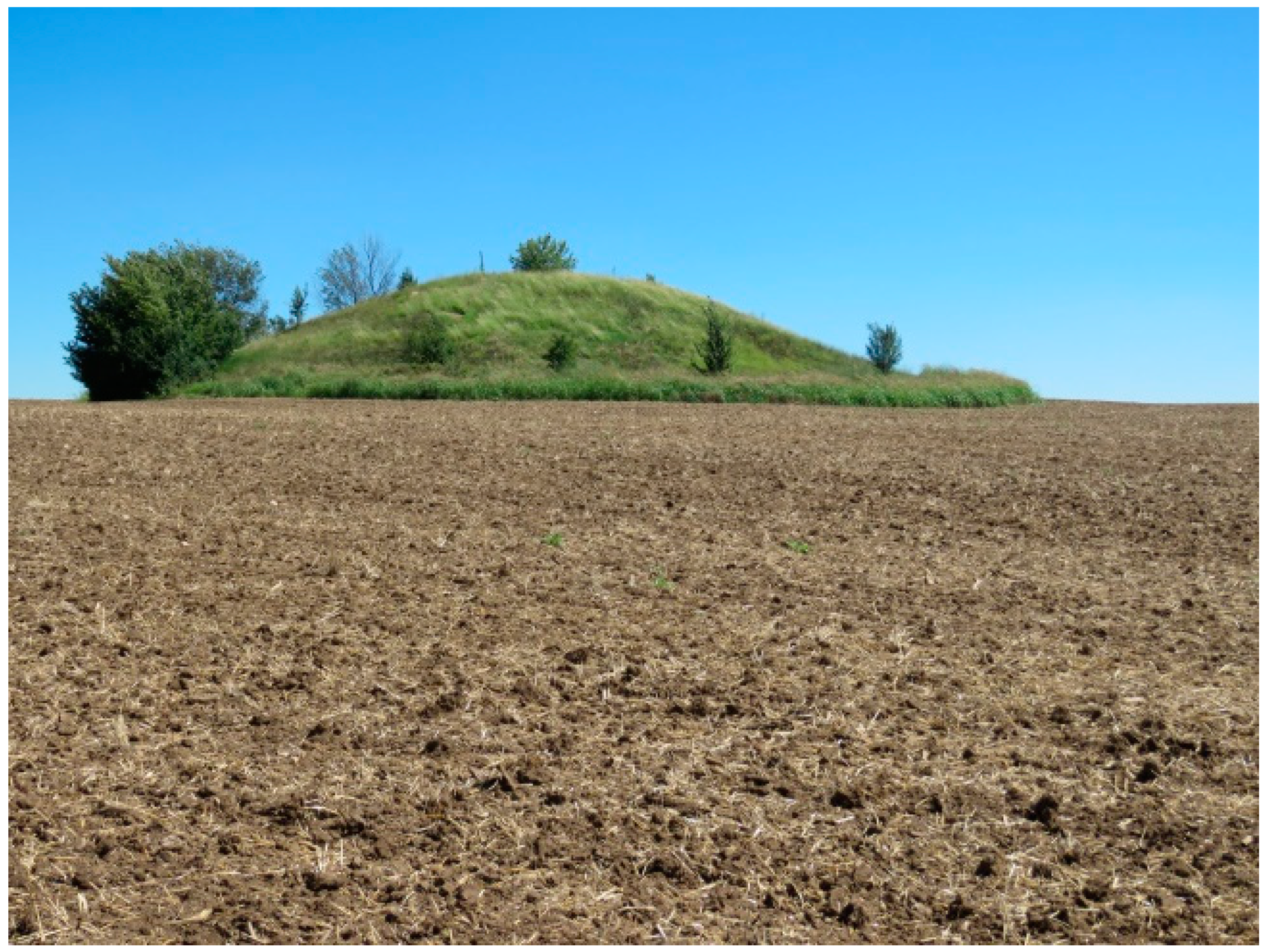 Plants 11 00705 g002