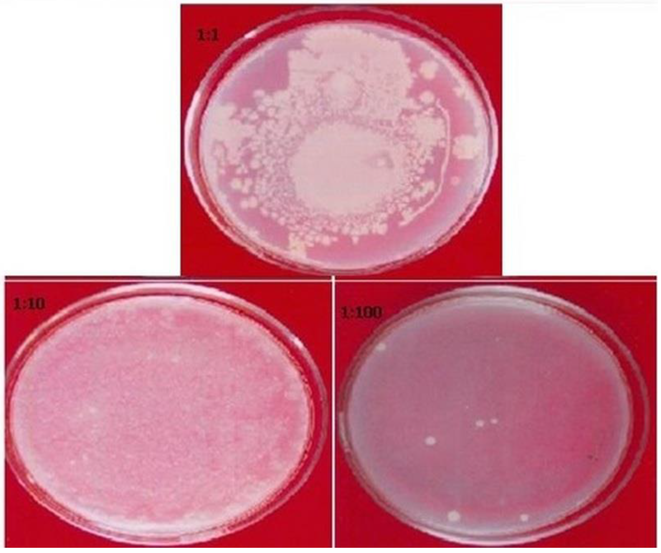 Plants 11 00706 g004