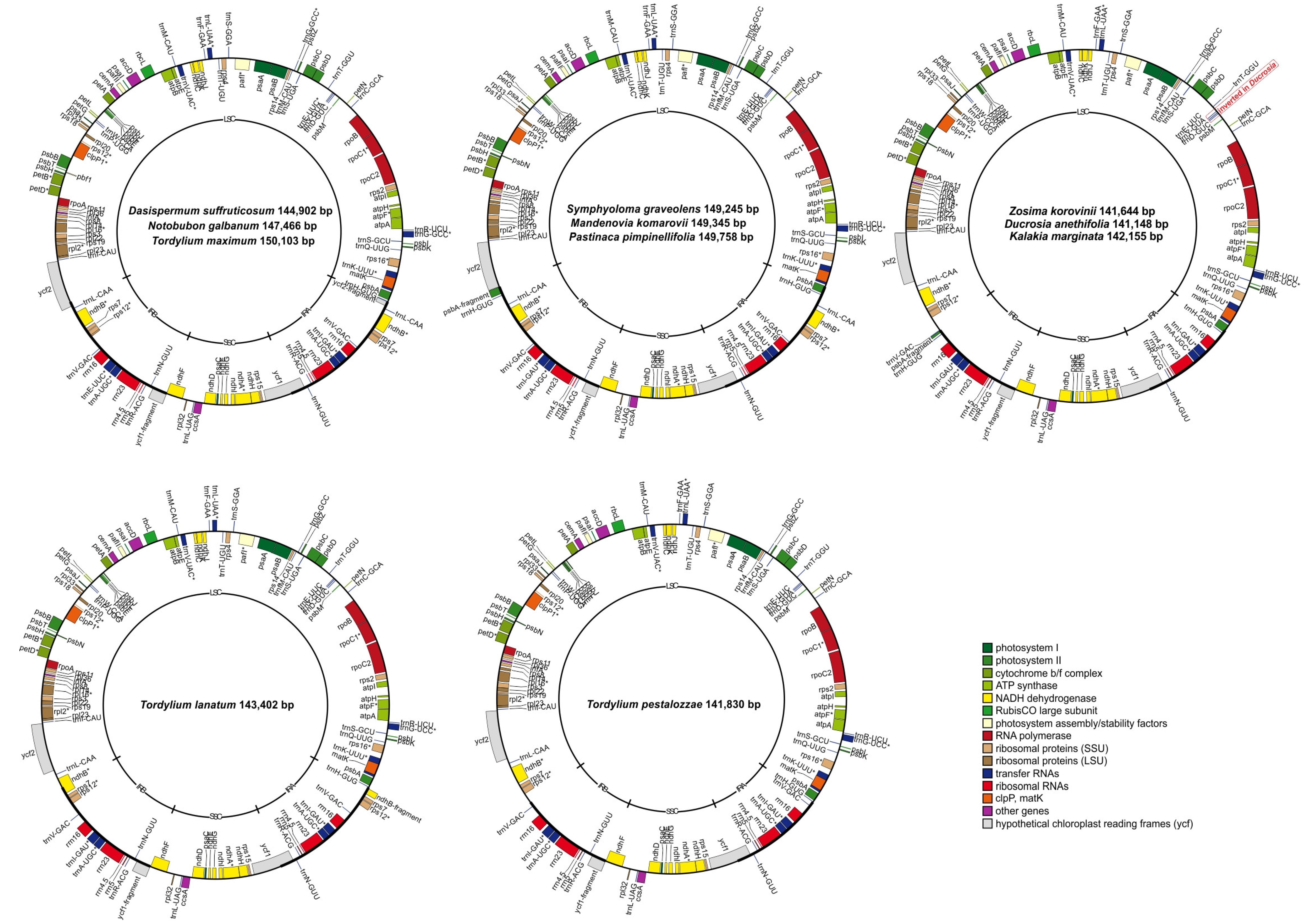 Plants 11 00709 g001