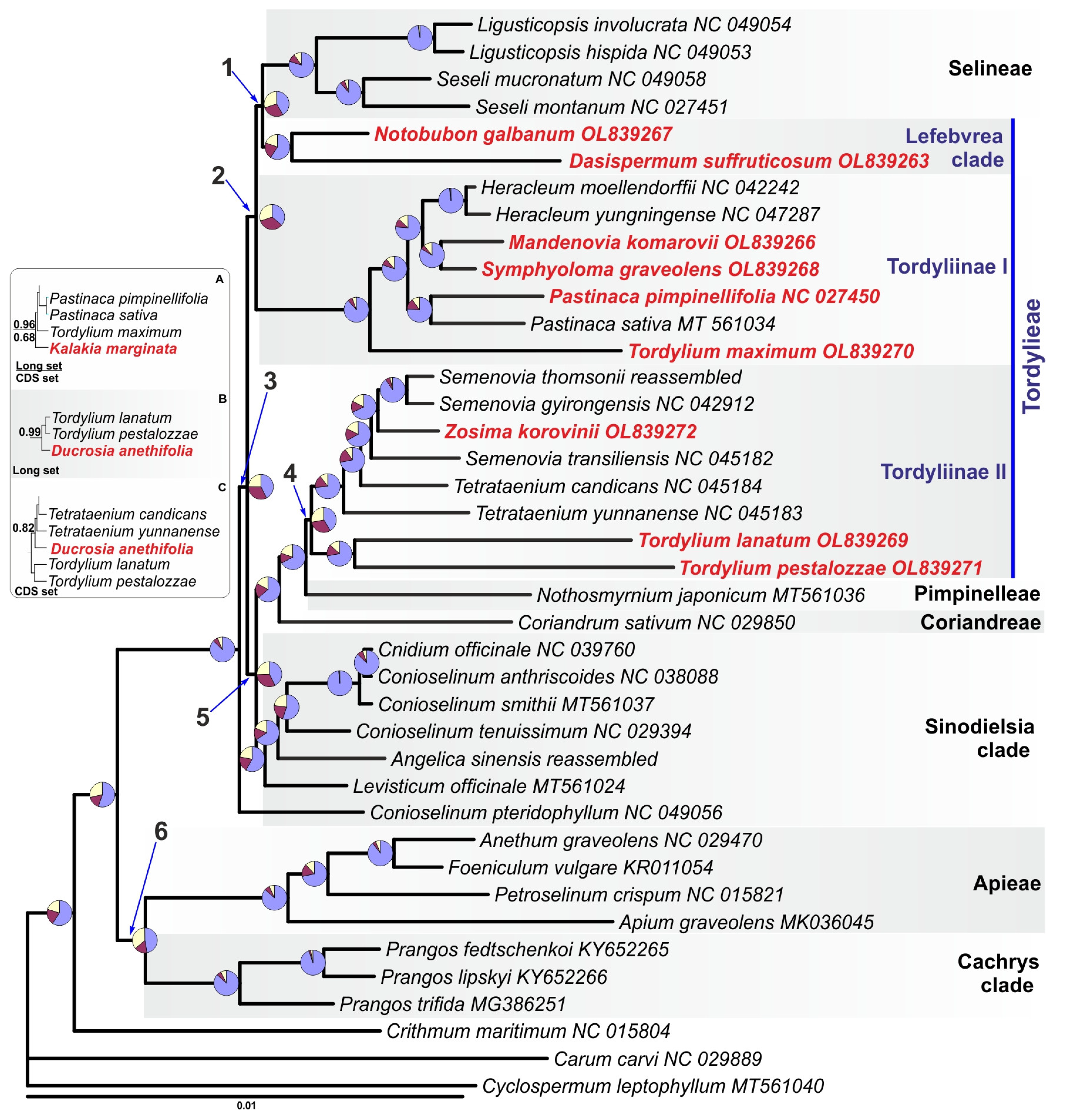Plants 11 00709 g002