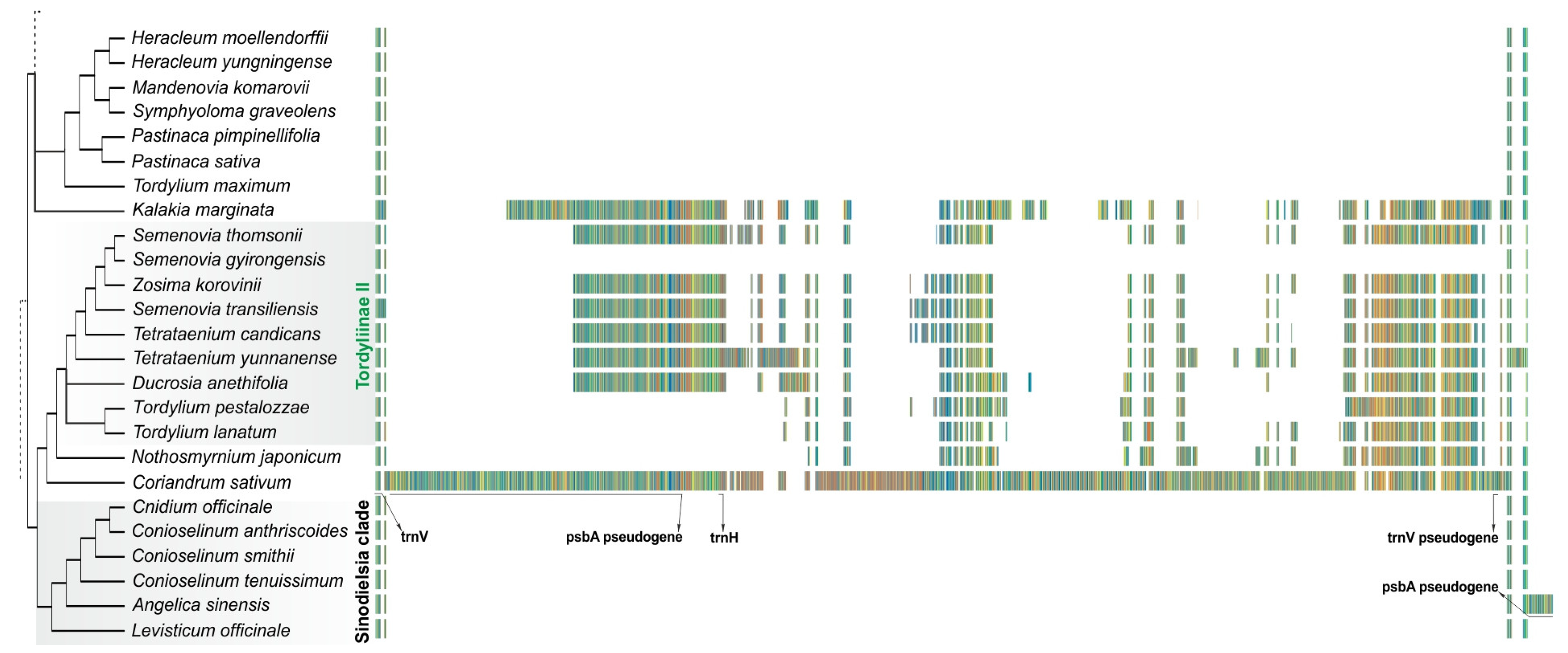 Plants 11 00709 g003