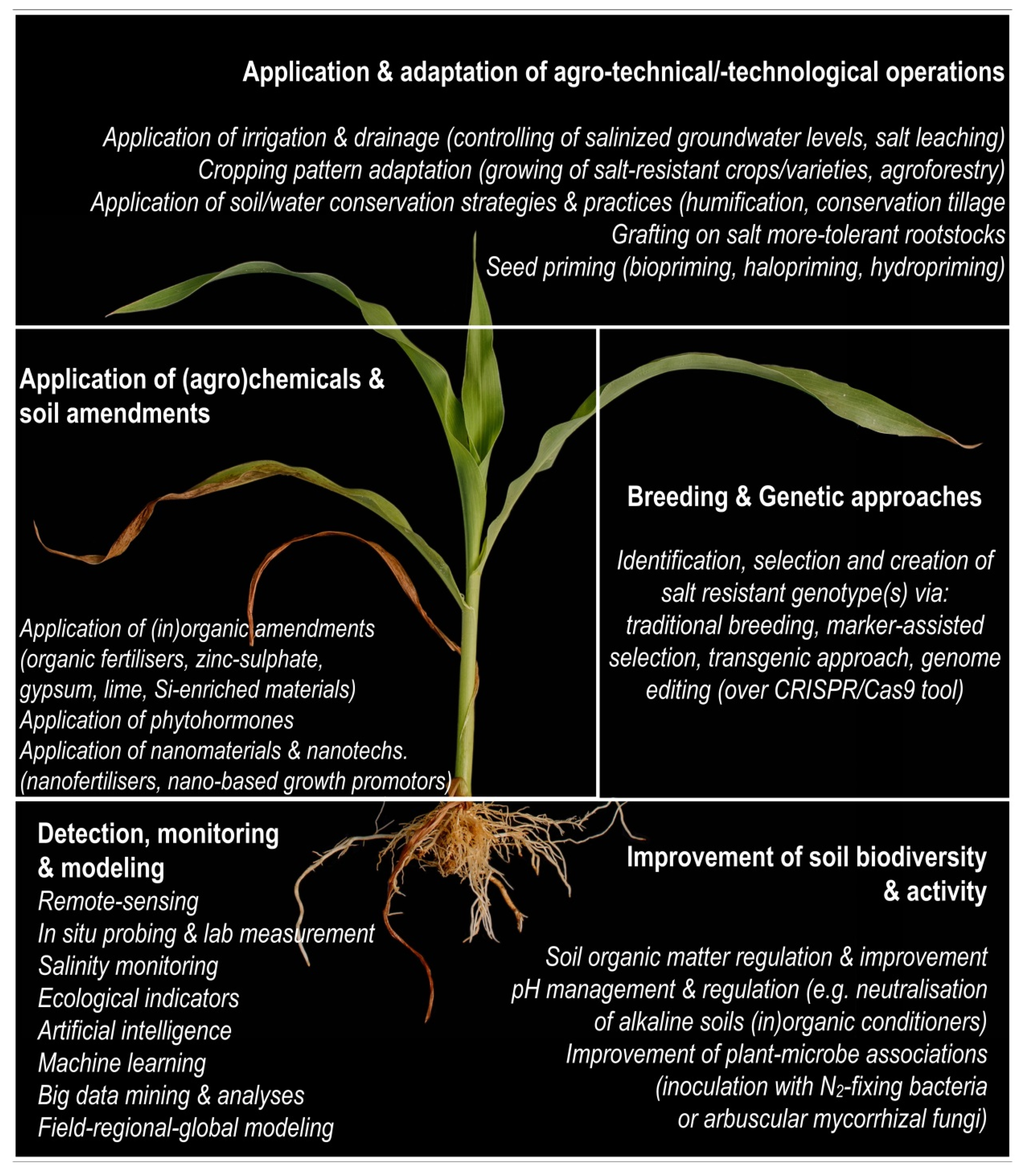 Plants 11 00717 g002