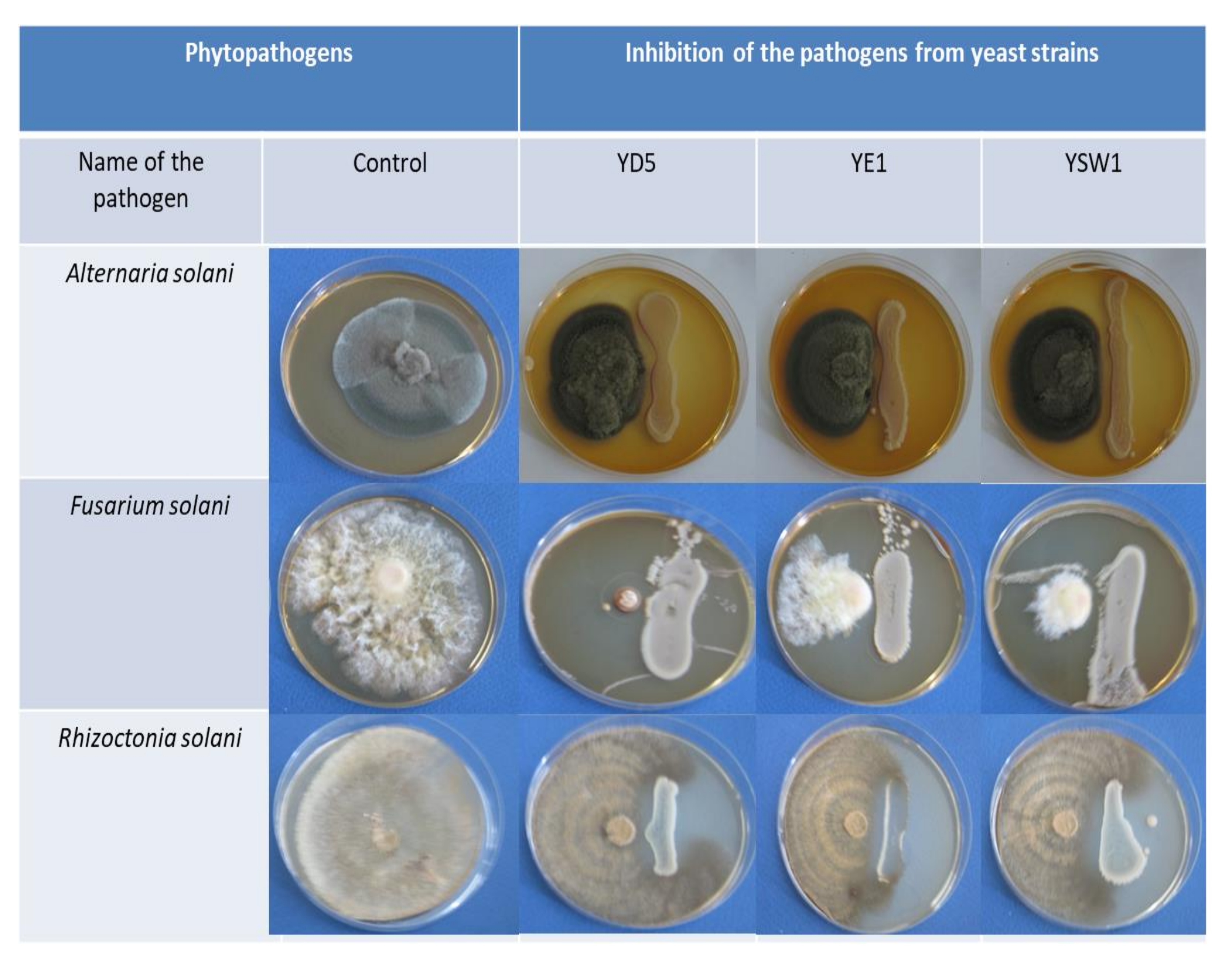 Plants 11 00751 g002