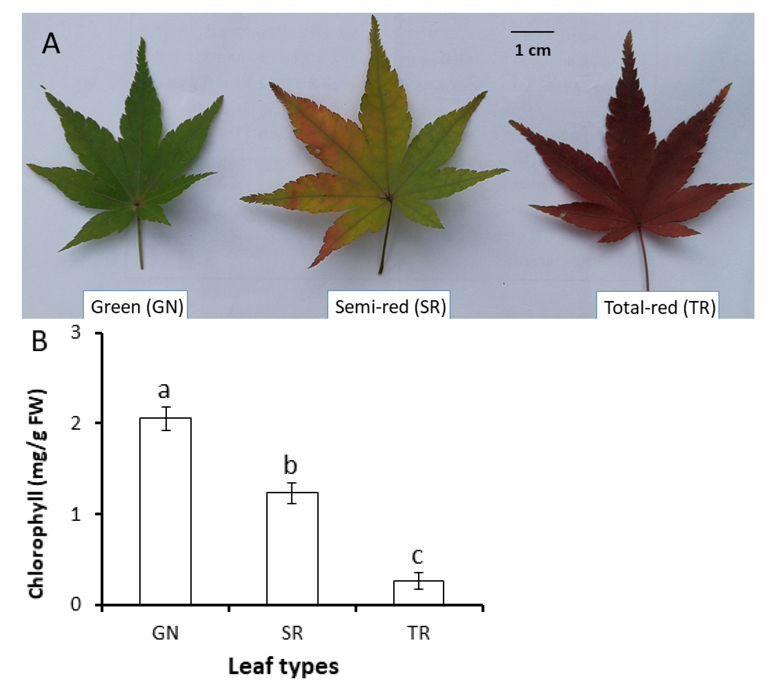 Plants 11 00759 g001a
