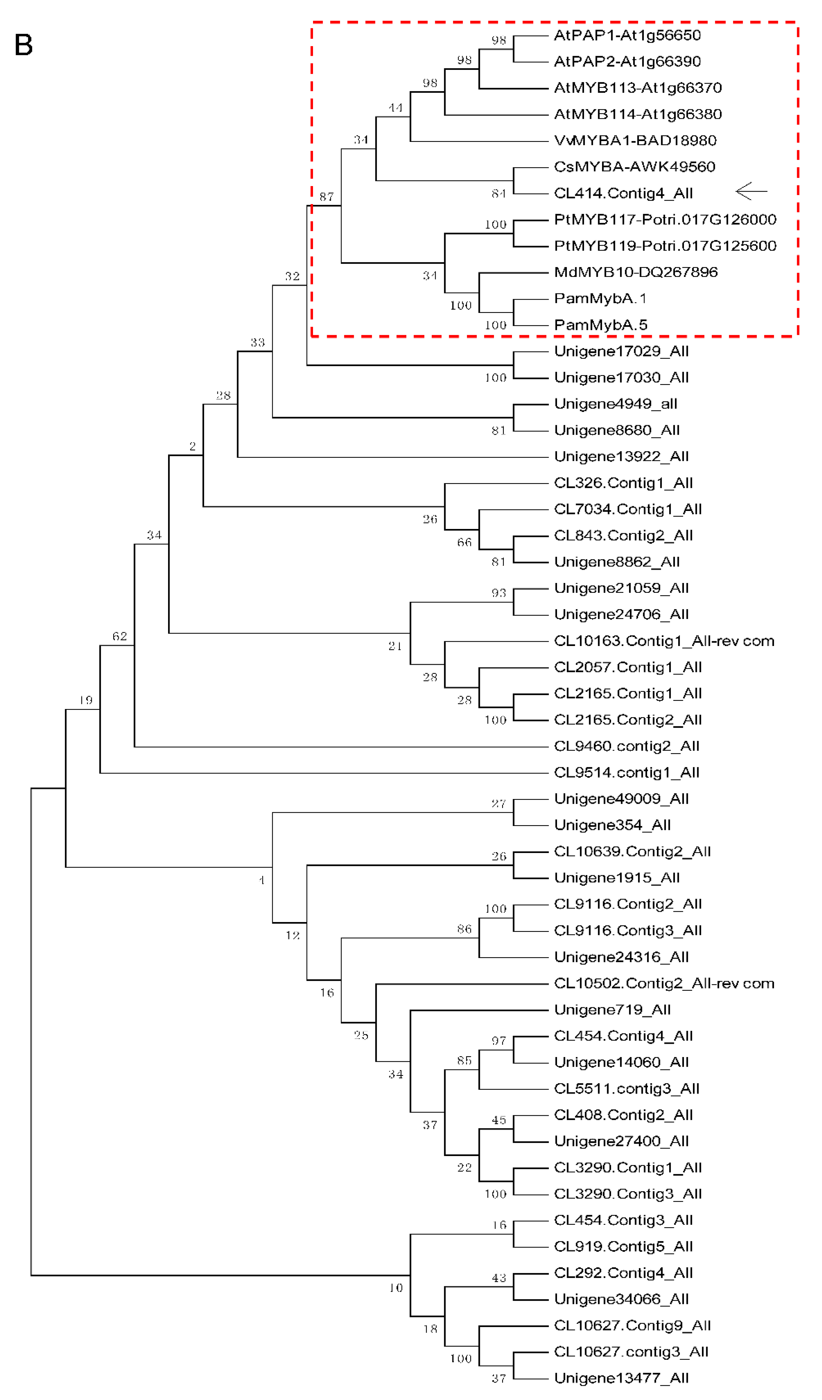 Plants 11 00759 g003b