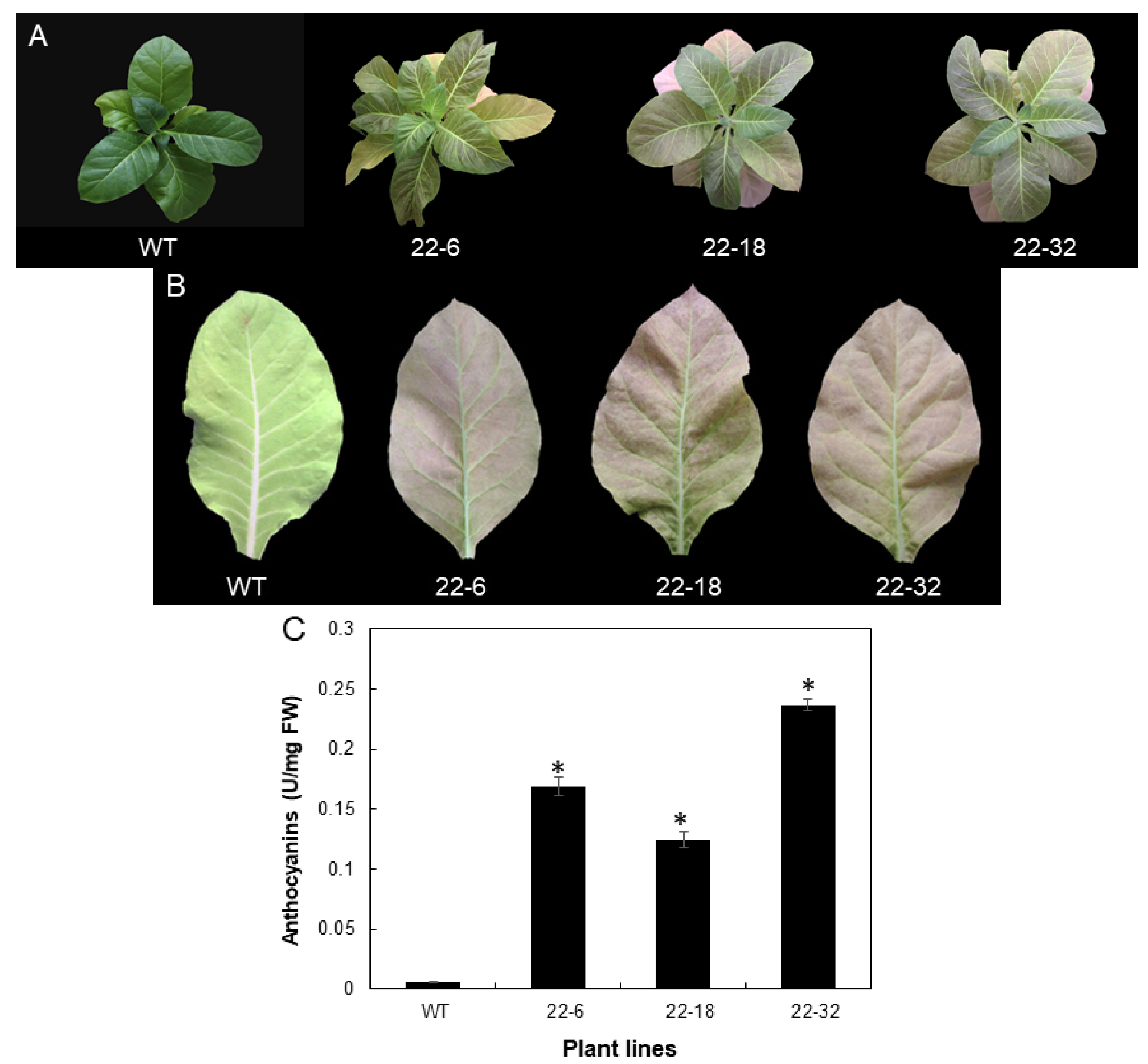 Plants 11 00759 g005