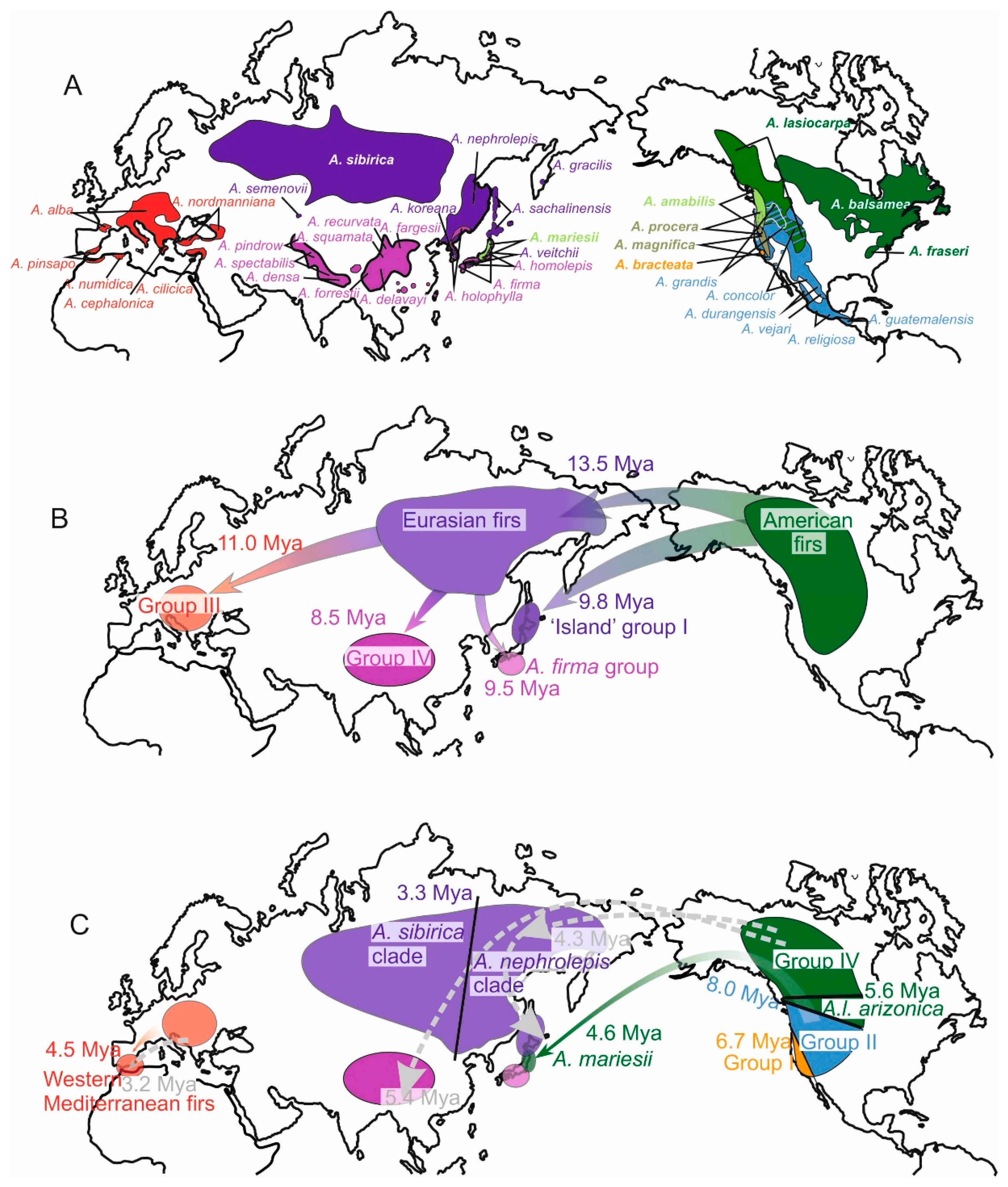 Plants 11 00762 g001