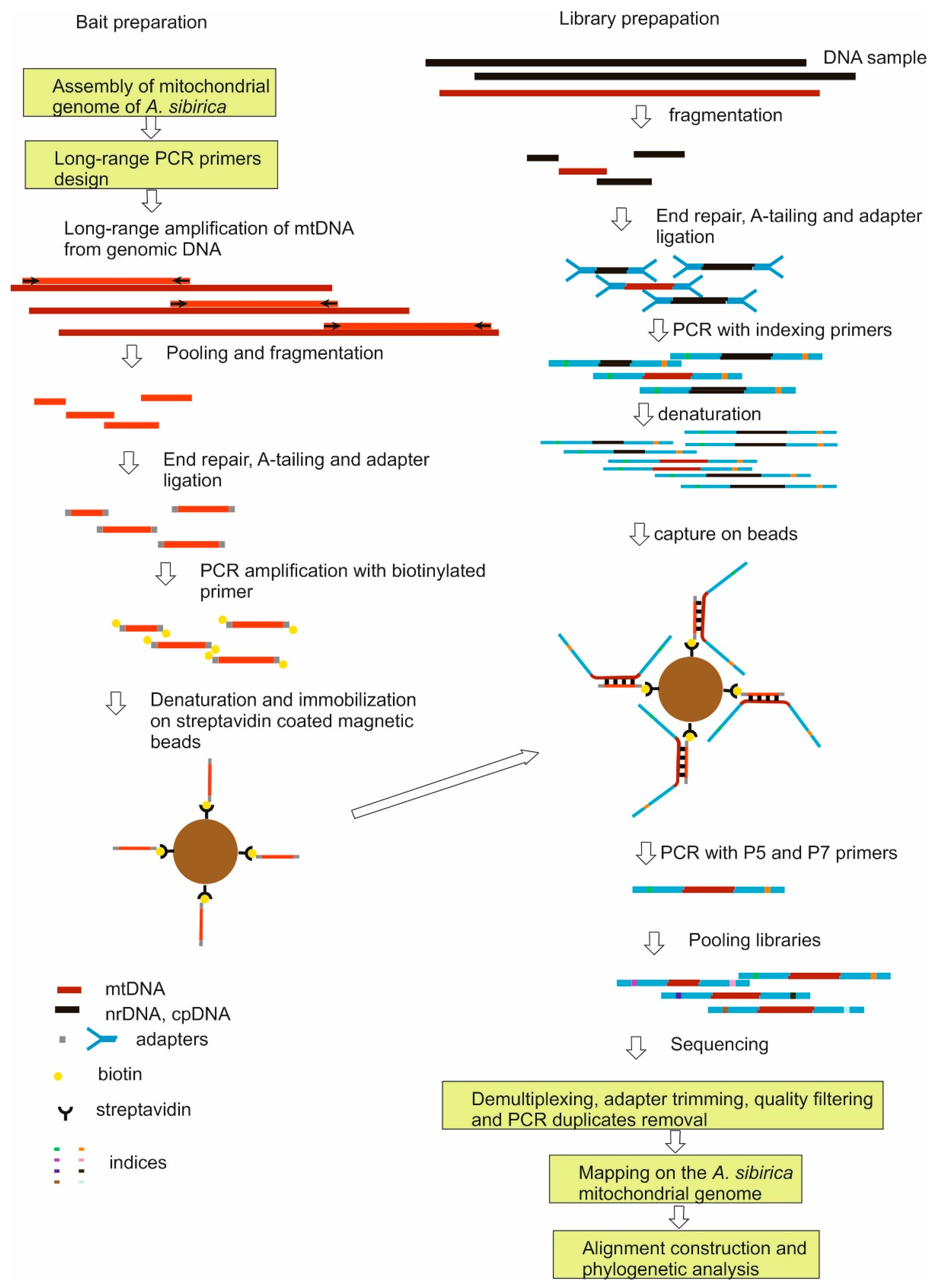 Plants 11 00762 g003
