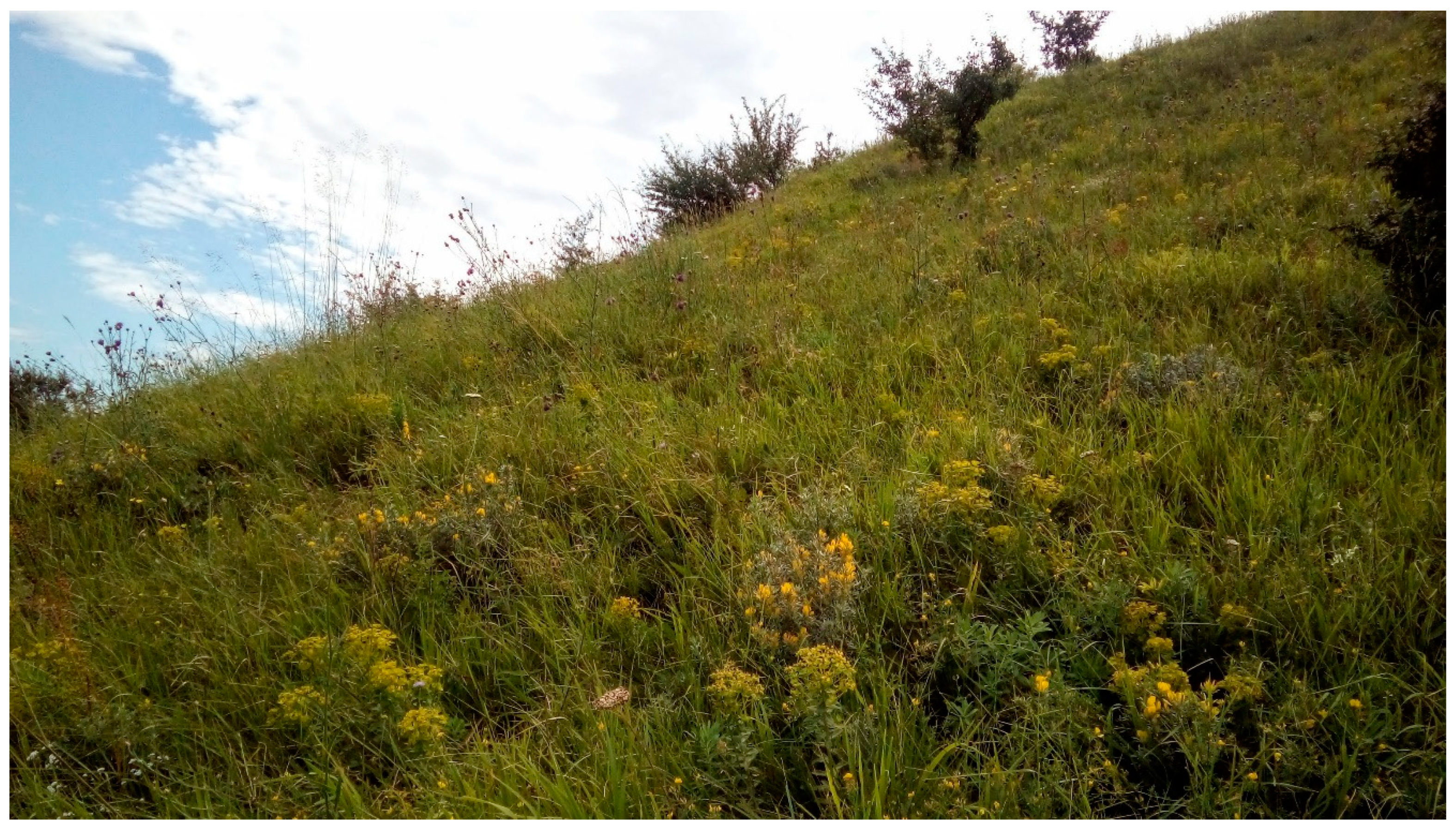 Plants 11 00763 g007 Plants 11 00763 g007