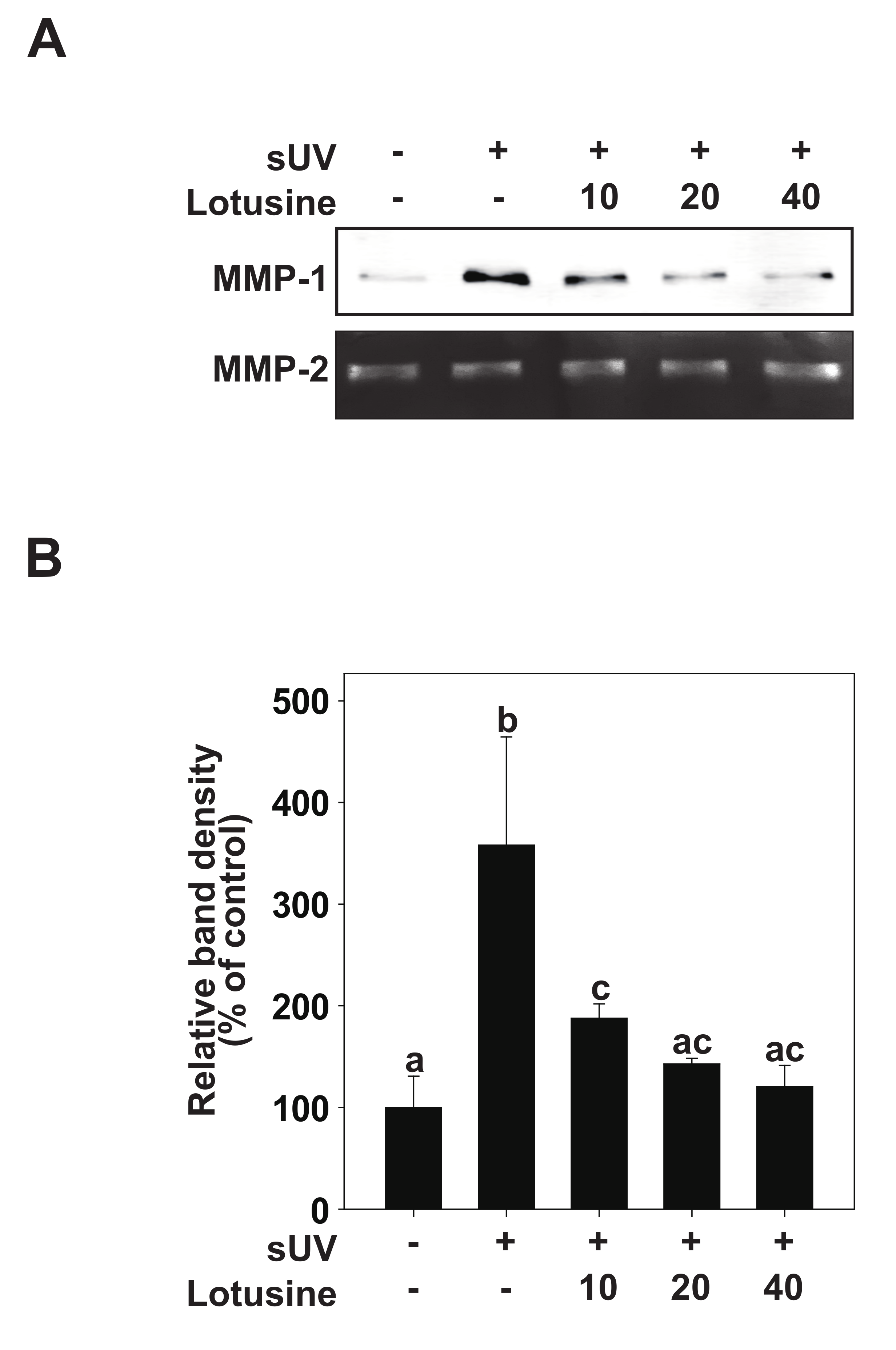 Plants 11 00773 g002