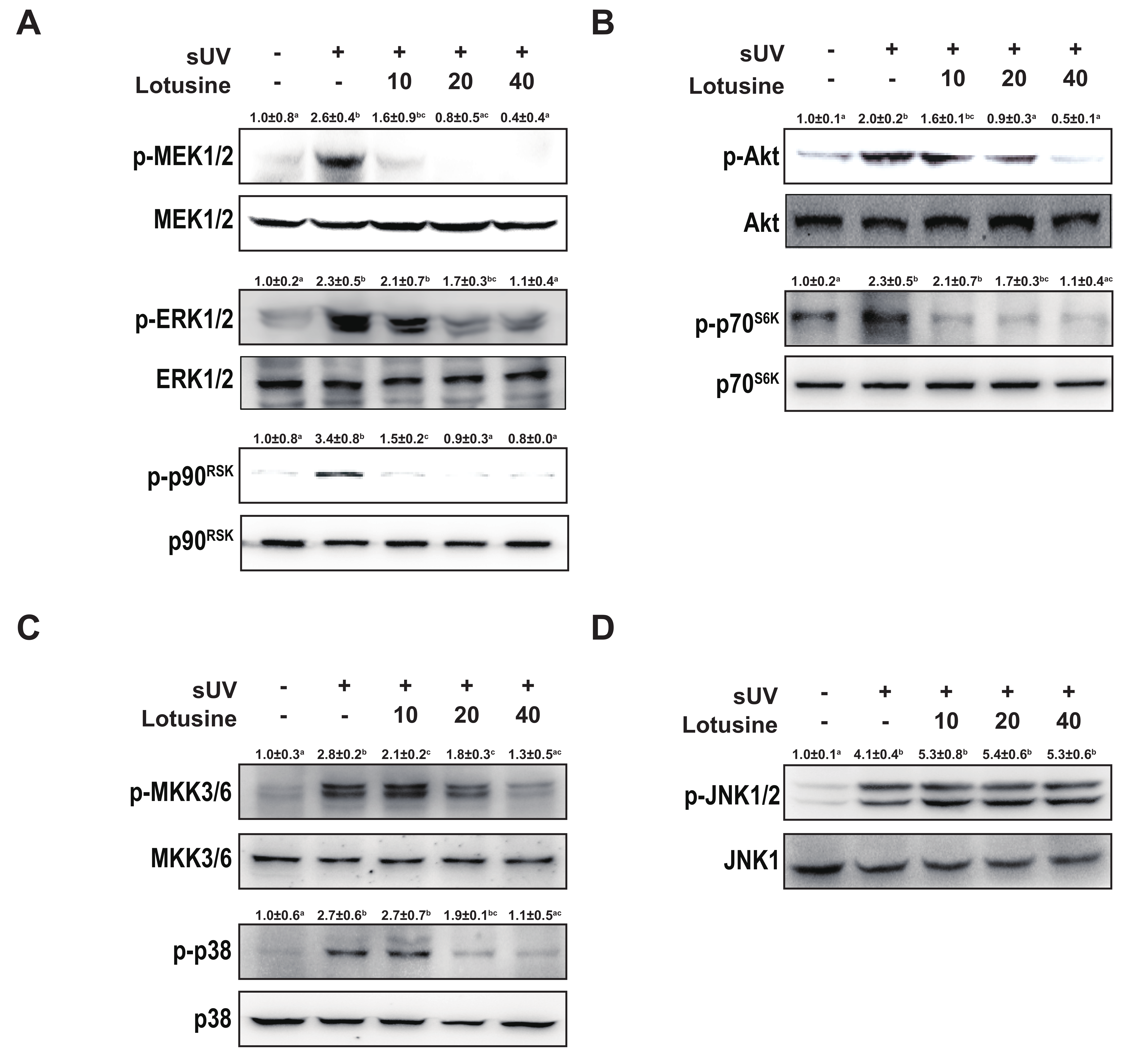 Plants 11 00773 g004