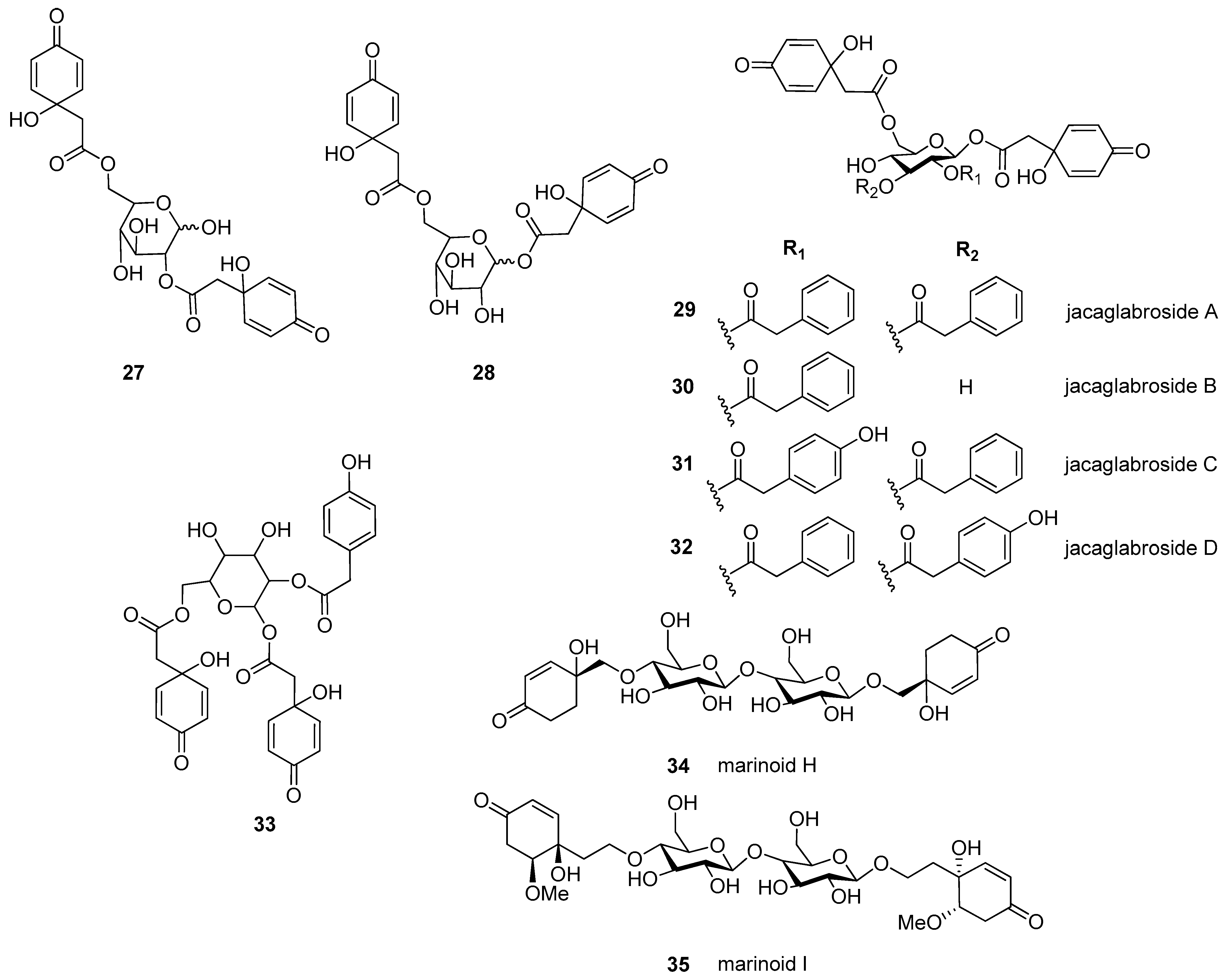 Plants 11 00782 g003