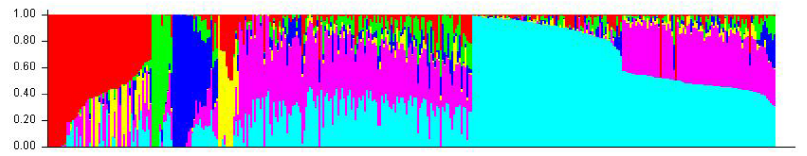 Plants 11 00799 g006