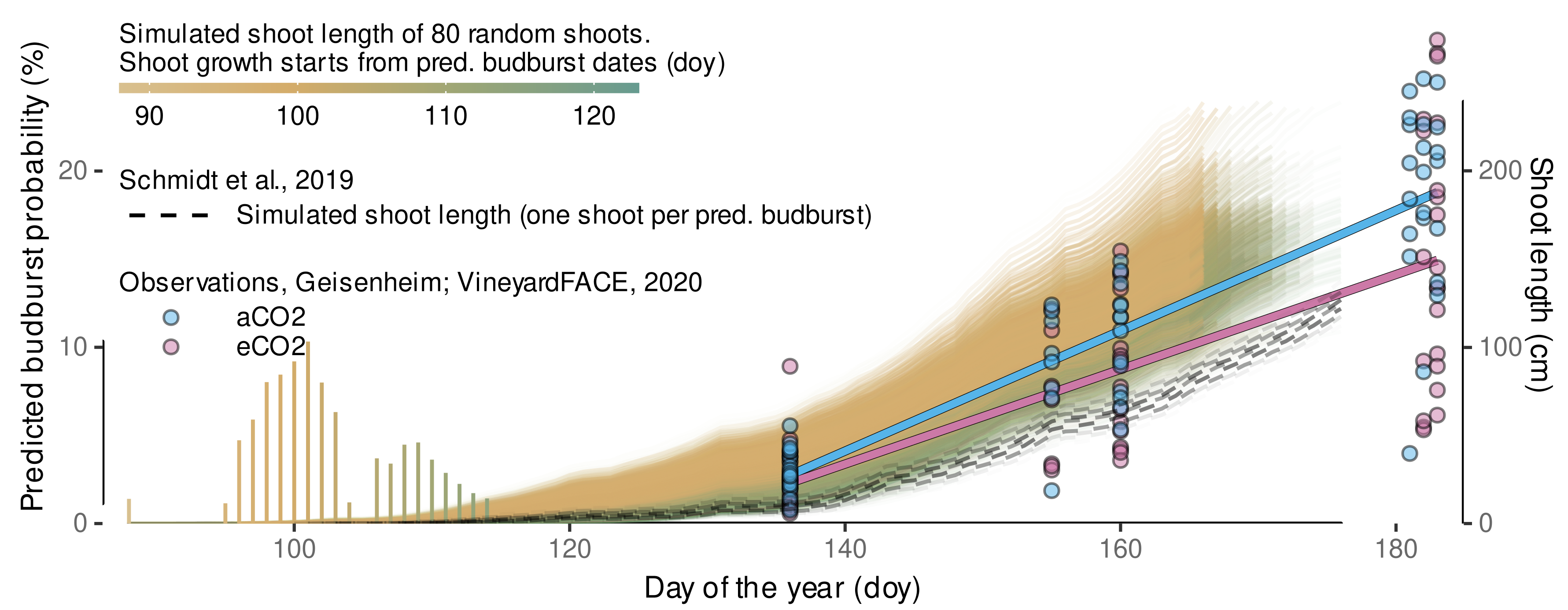 Plants 11 00801 g017