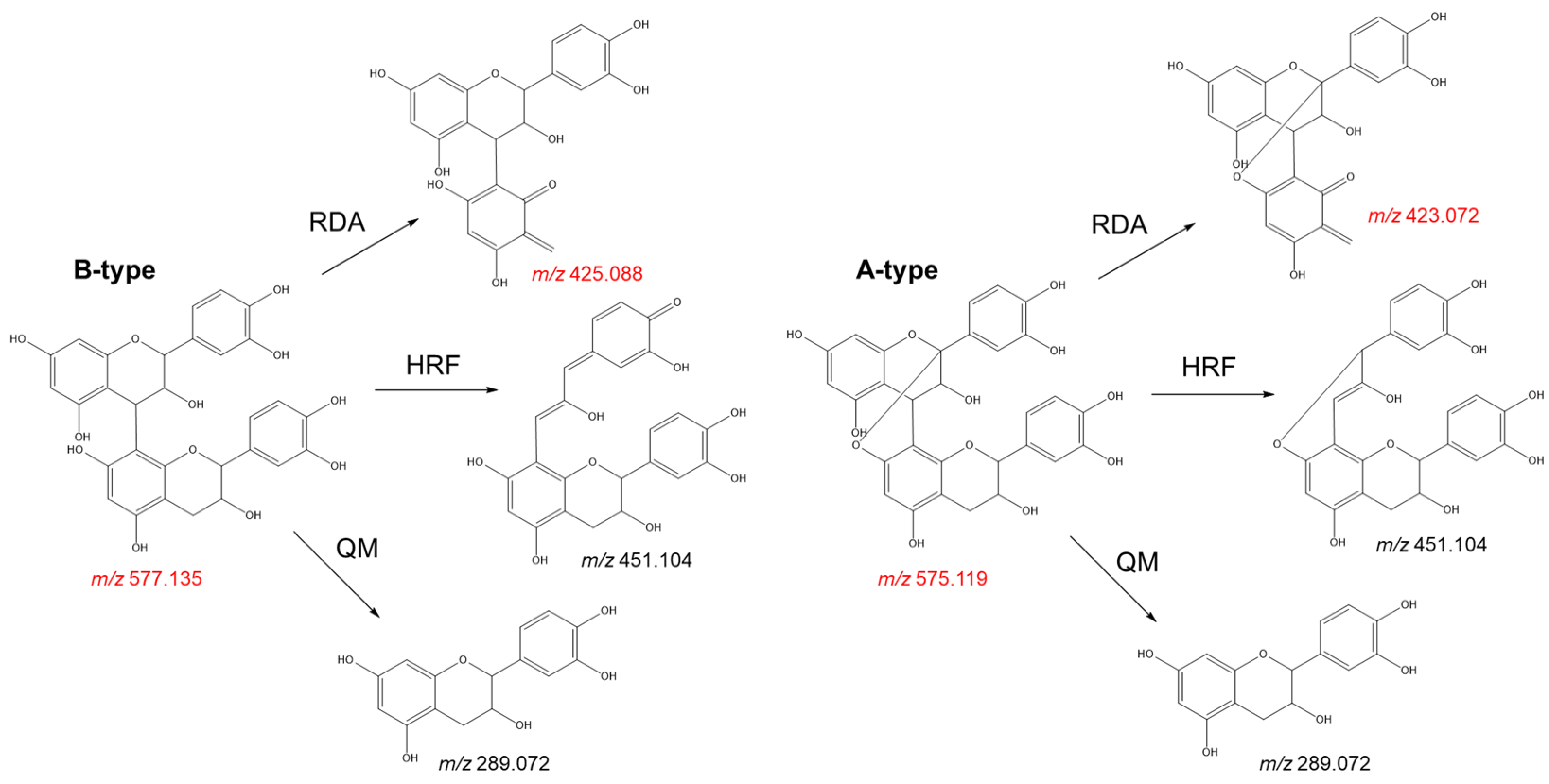 Plants 11 00809 g008