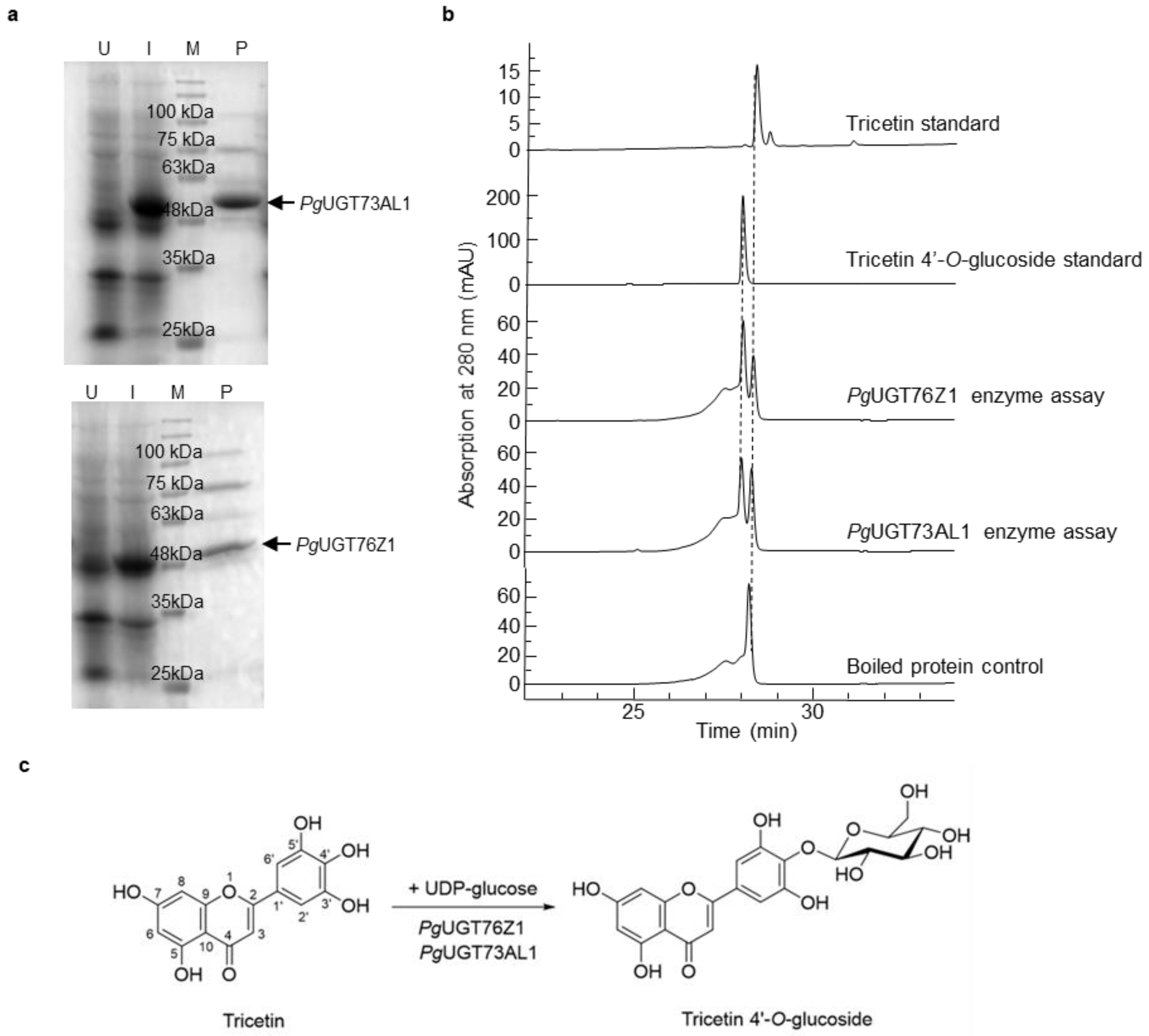 Plants 11 00810 g002