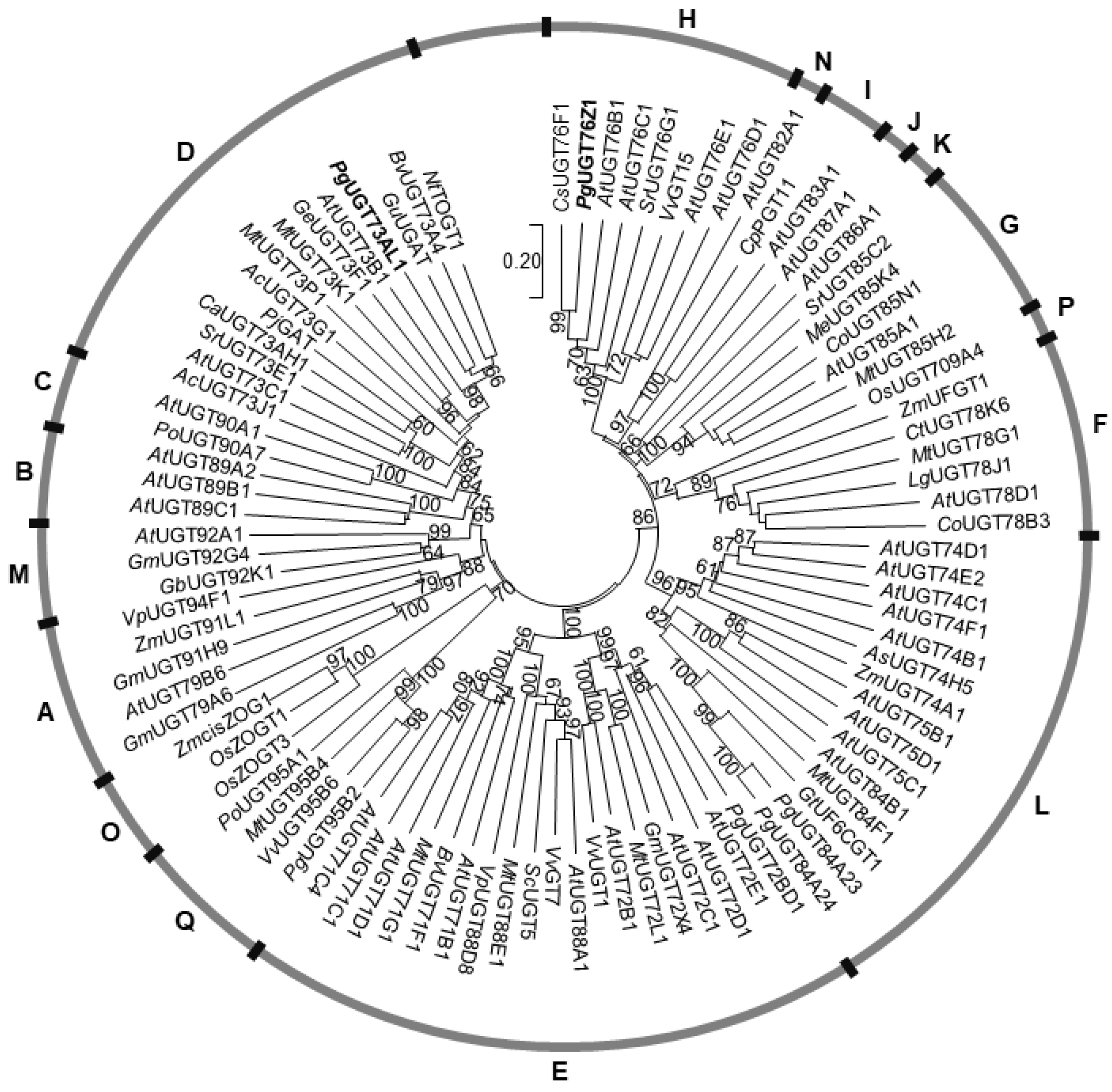 Plants 11 00810 g003