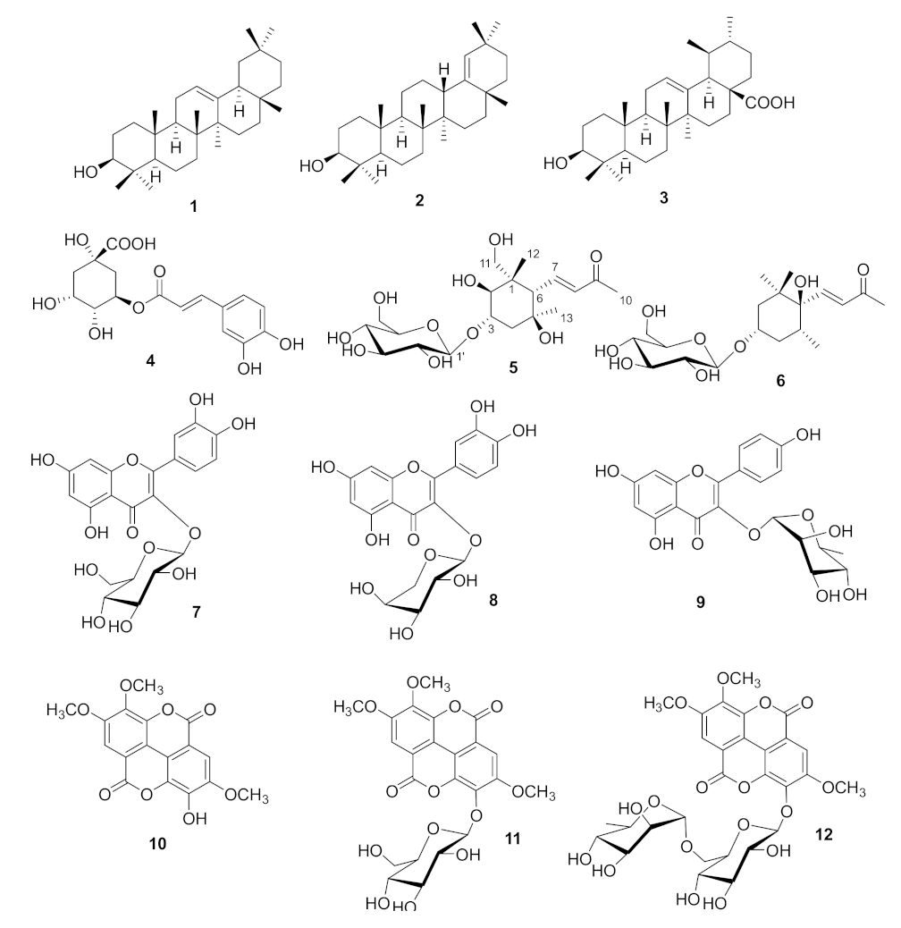 Plants 11 00811 g001