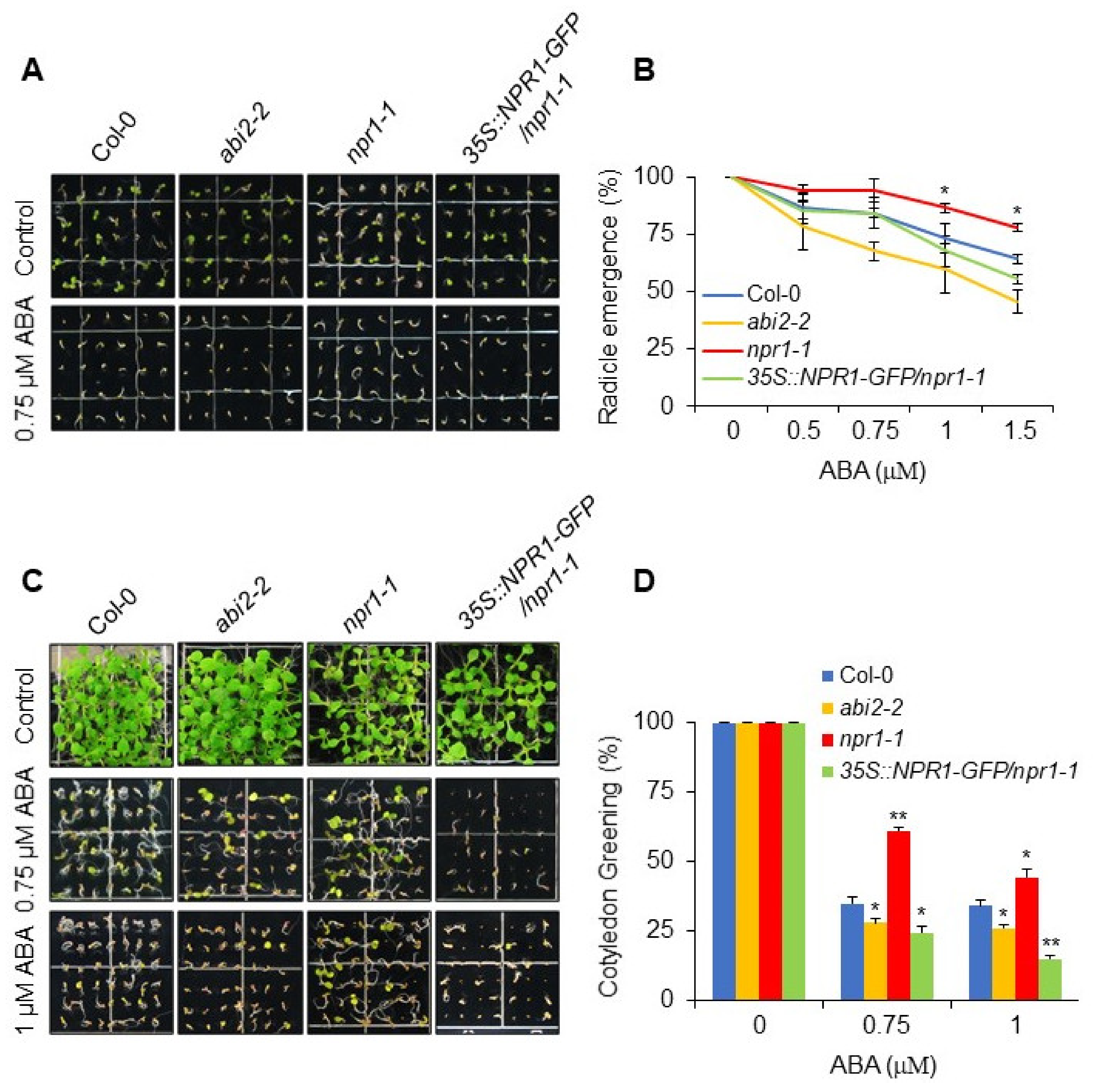 Plants 11 00815 g001