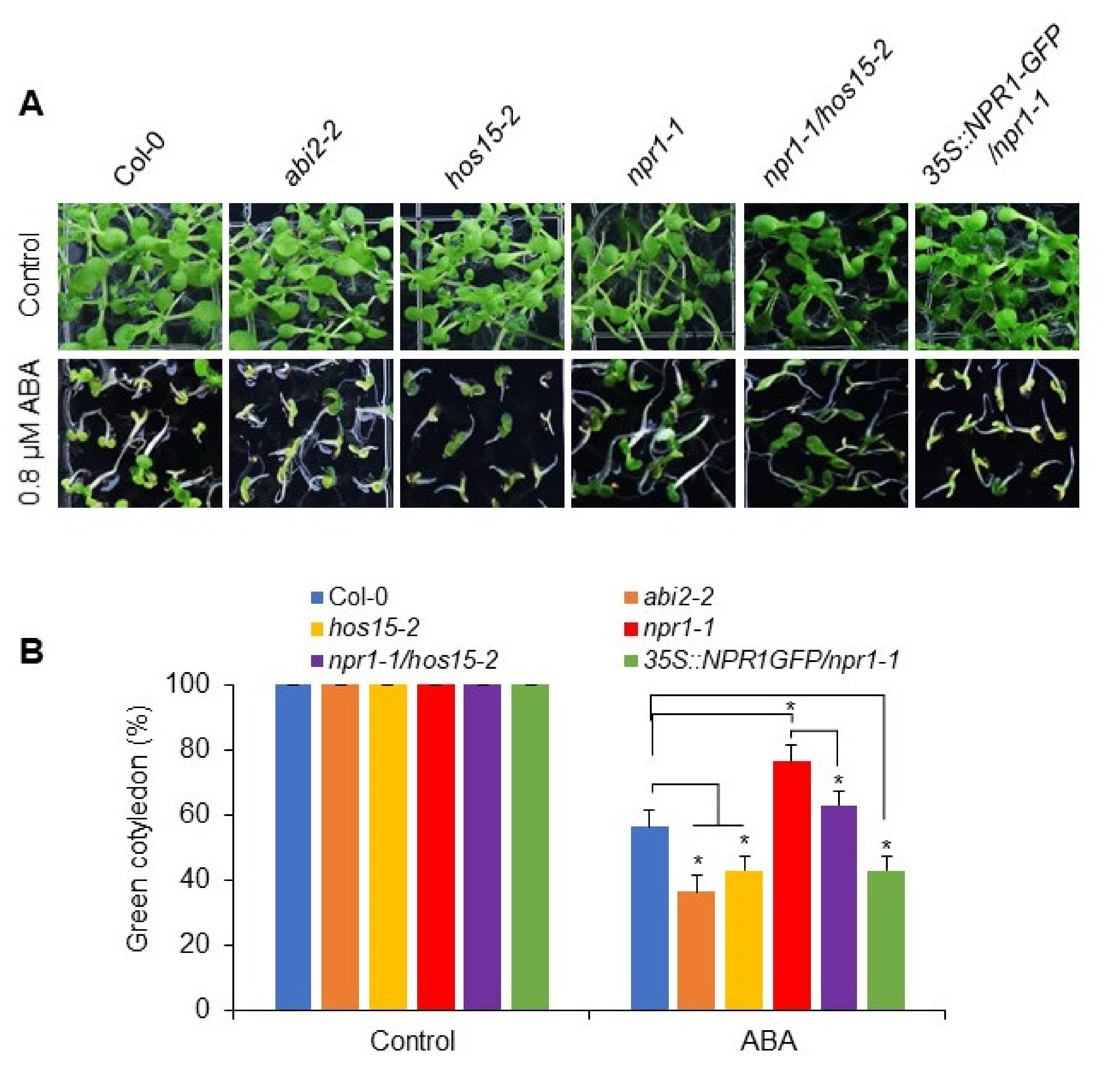 Plants 11 00815 g004