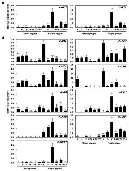 Plants 11 00820 g003 550