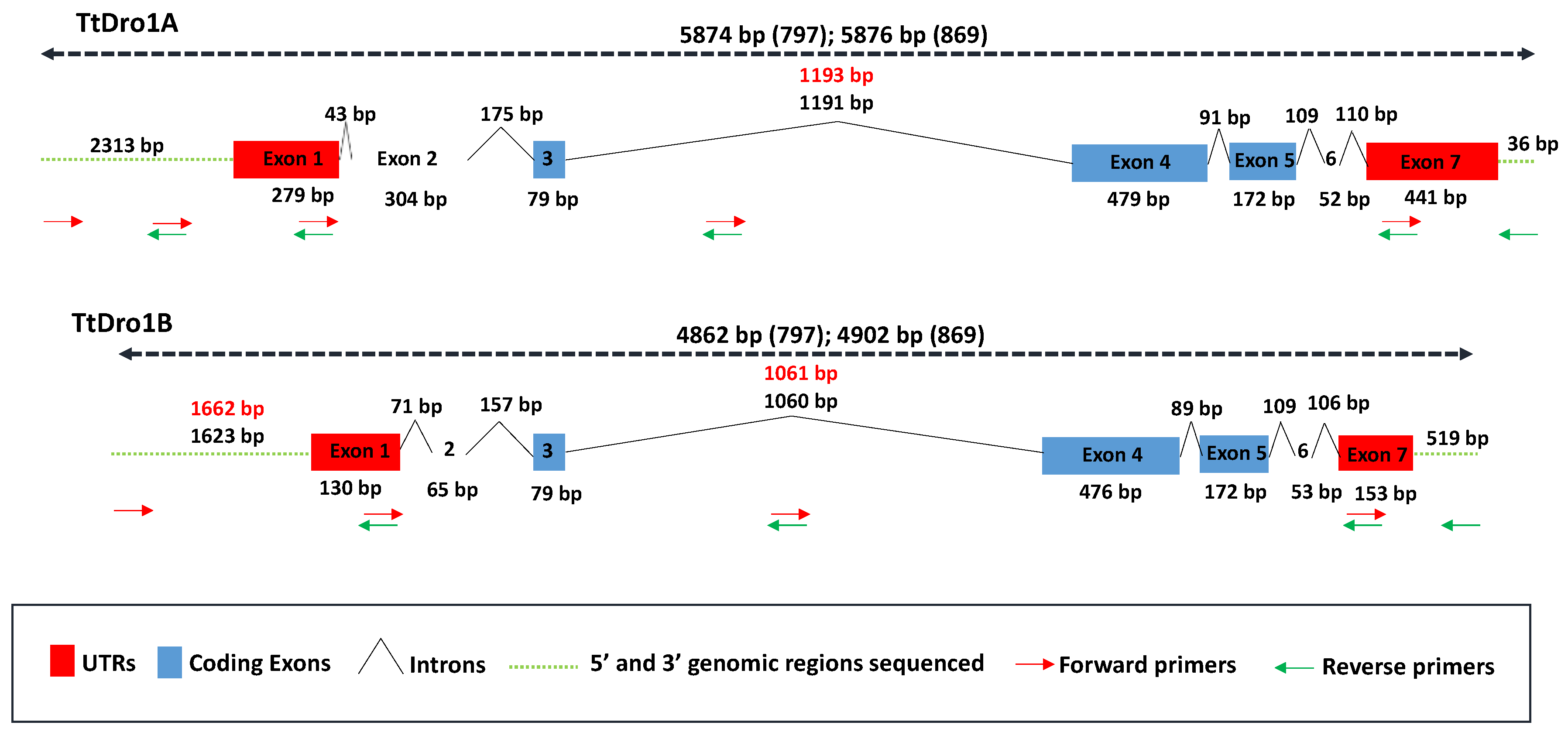 Plants 11 00821 g004
