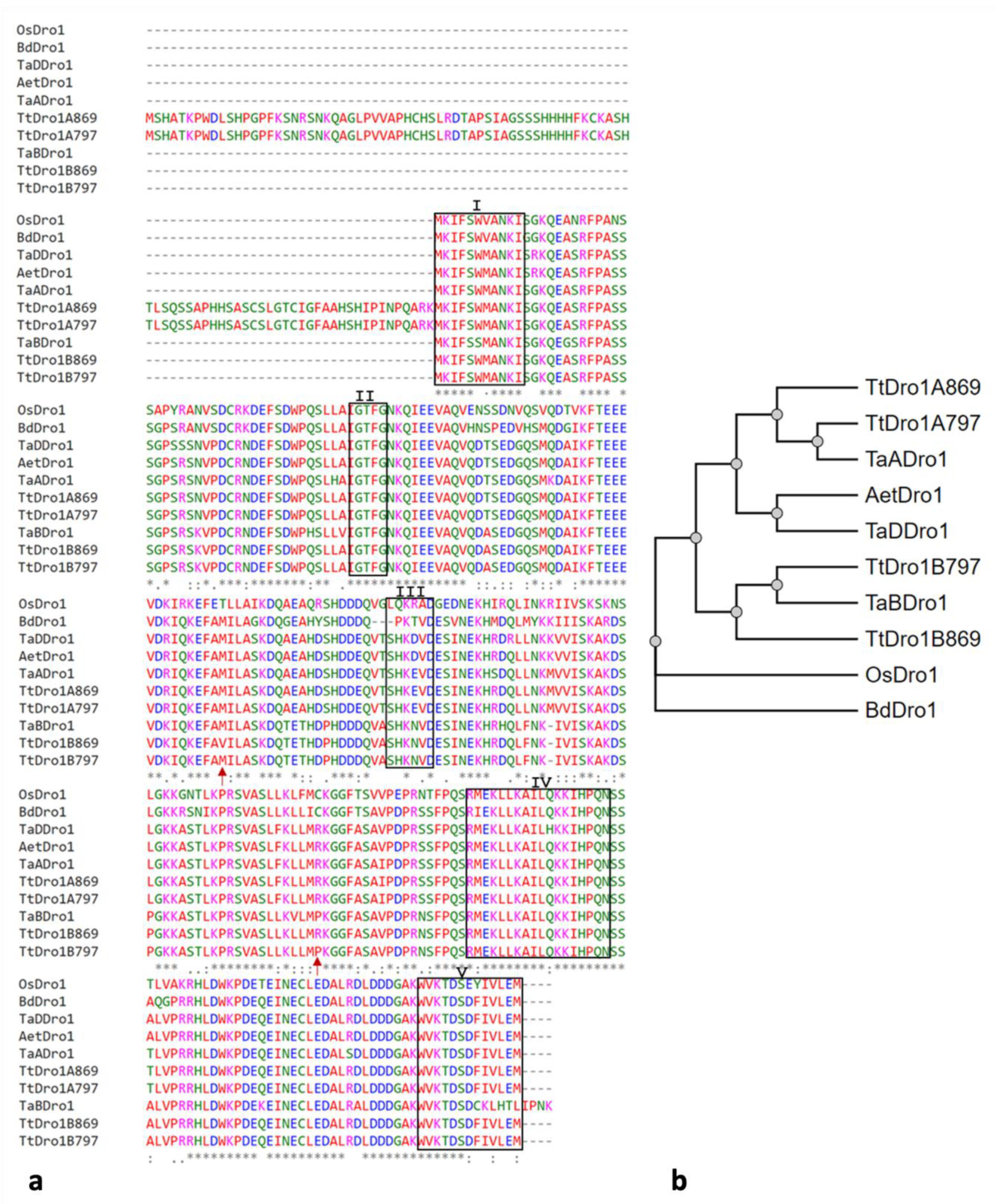 Plants 11 00821 g005