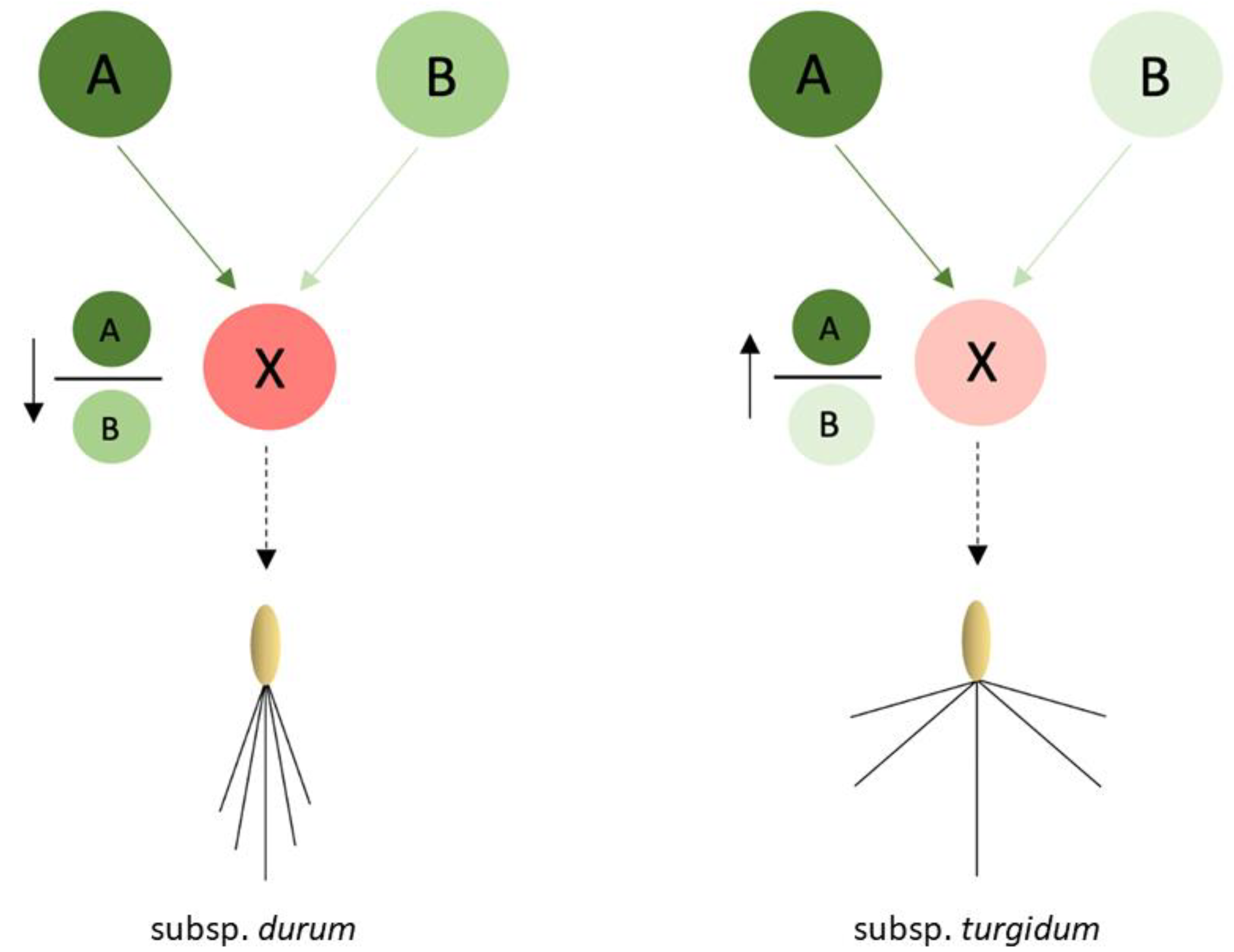 Plants 11 00821 g007